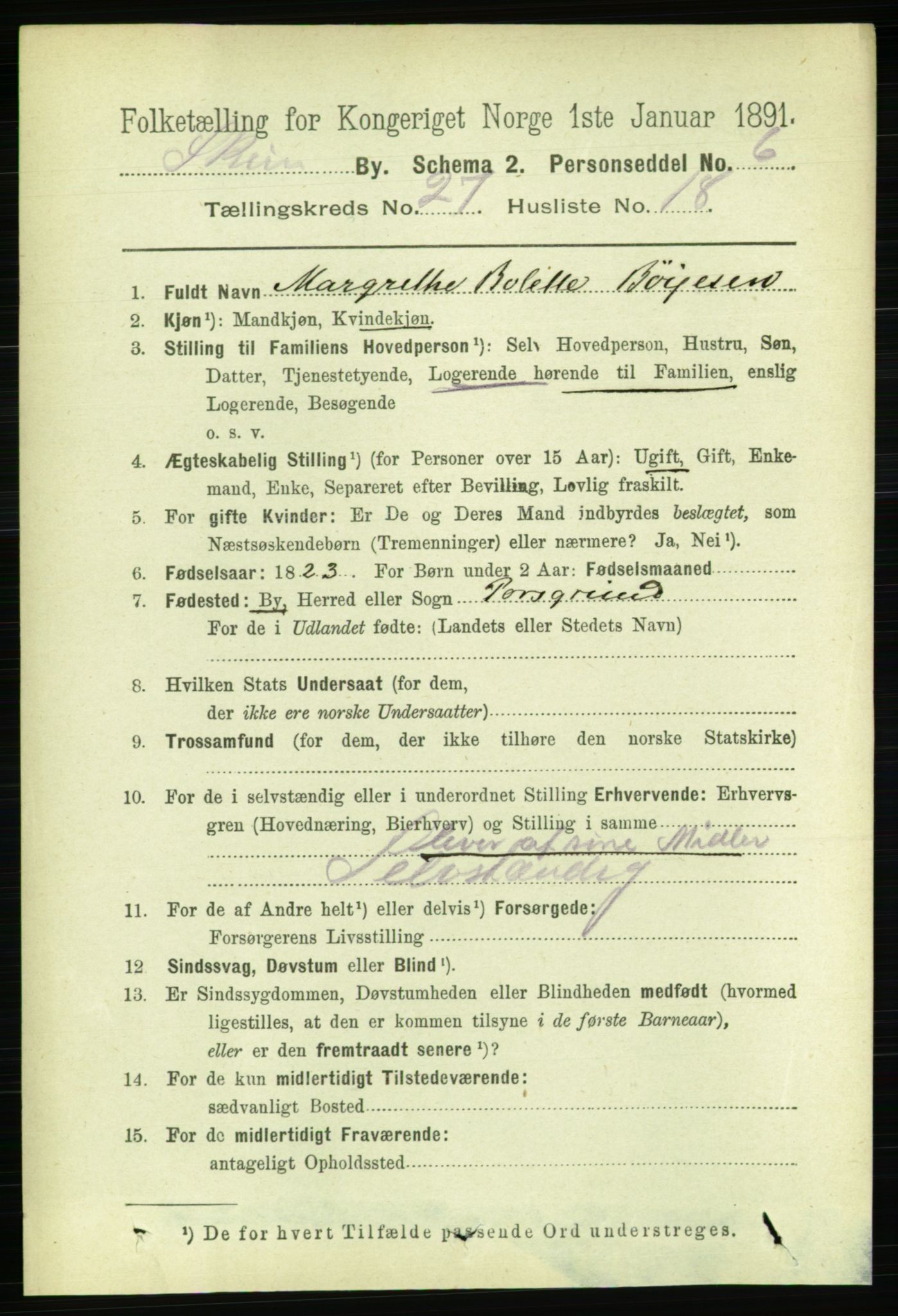 RA, 1891 census for 0806 Skien, 1891, p. 6493