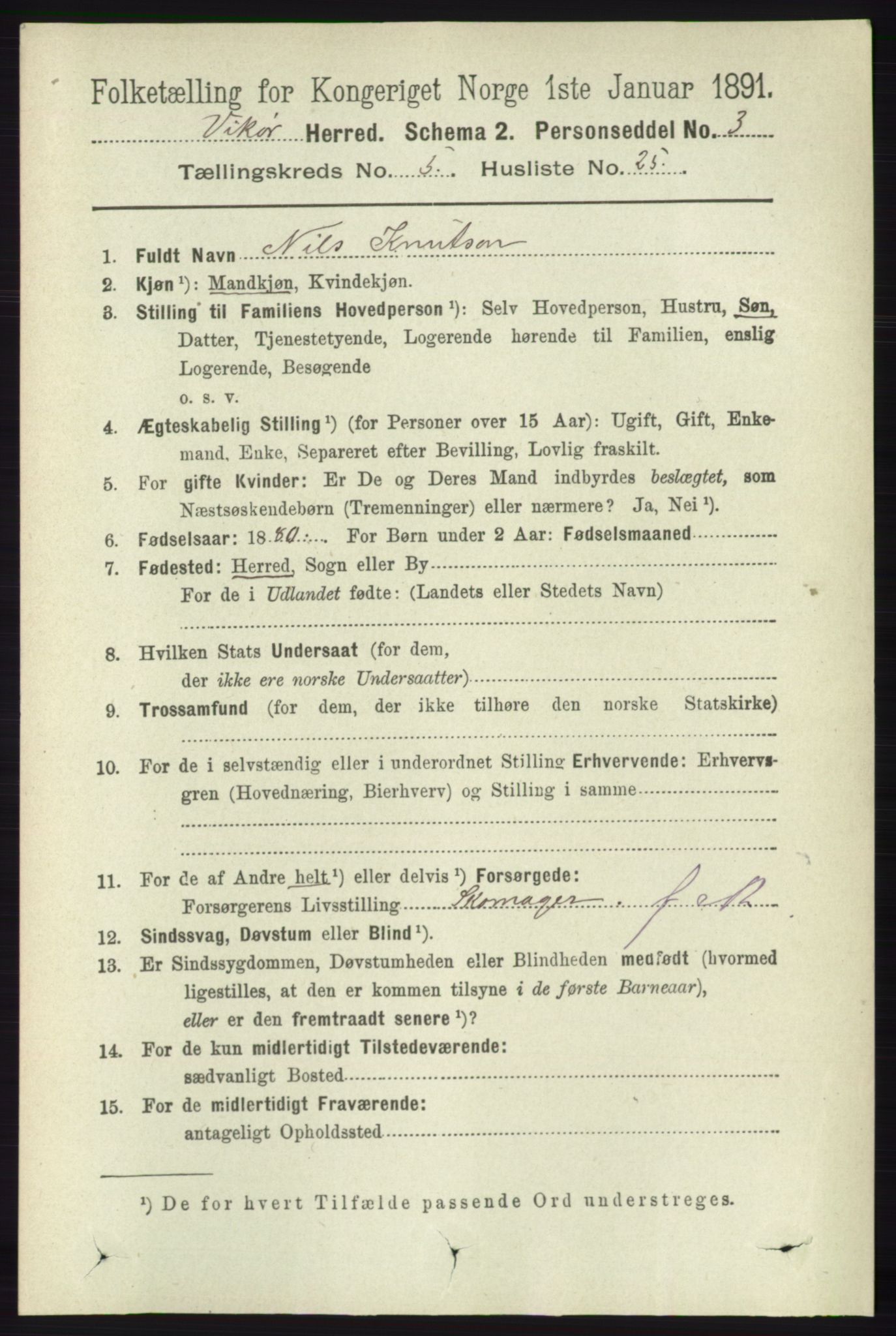 RA, 1891 census for 1238 Vikør, 1891, p. 1544