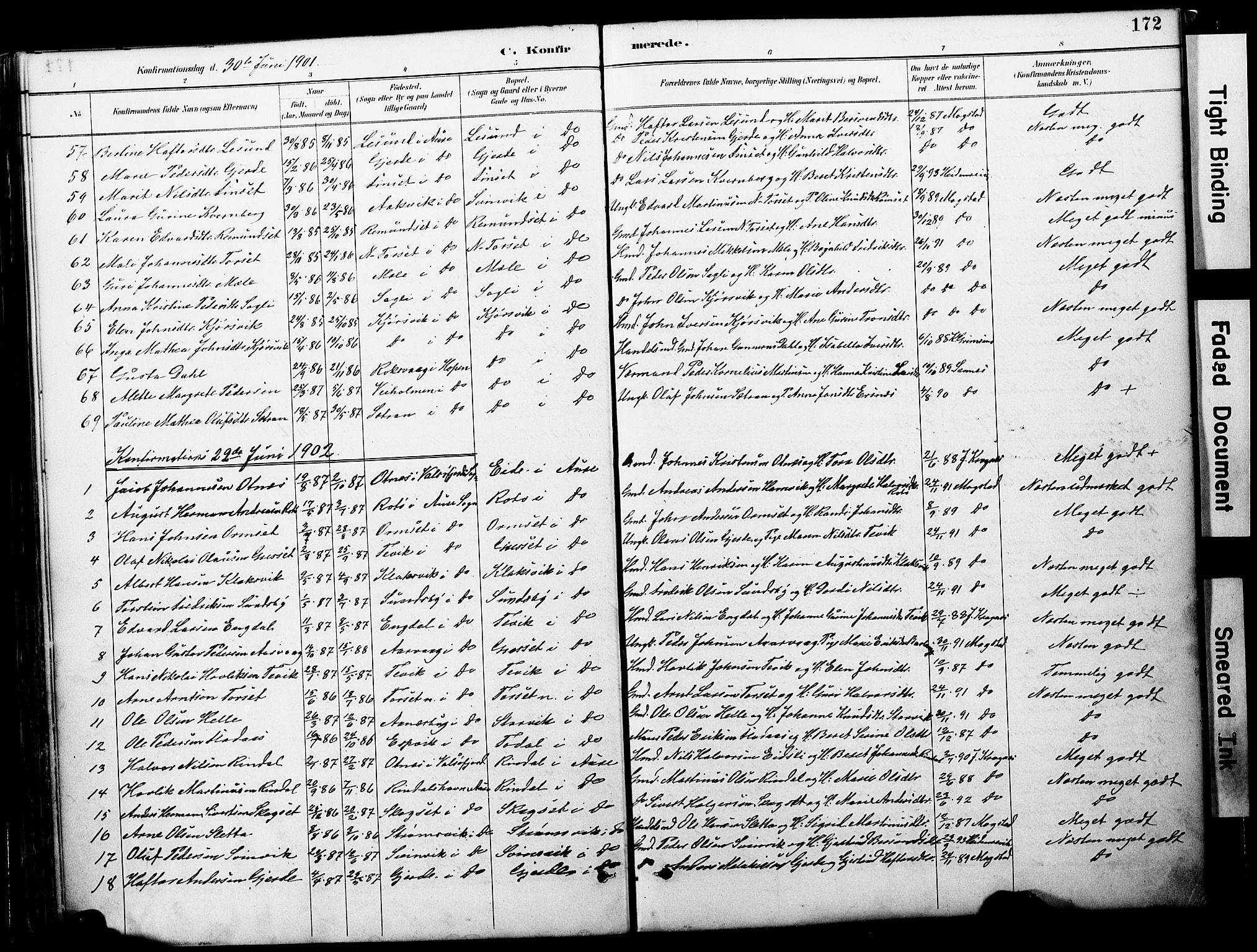 Ministerialprotokoller, klokkerbøker og fødselsregistre - Møre og Romsdal, AV/SAT-A-1454/578/L0907: Parish register (official) no. 578A06, 1887-1904, p. 172