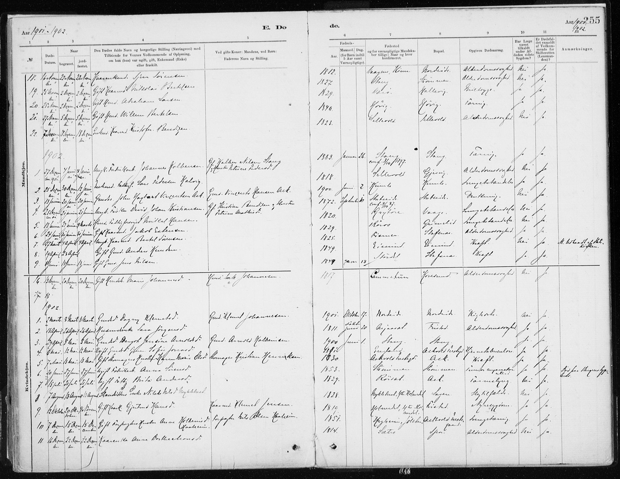 Askvoll sokneprestembete, SAB/A-79501/H/Haa/Haab/L0002: Parish register (official) no. B 2, 1879-1909, p. 255