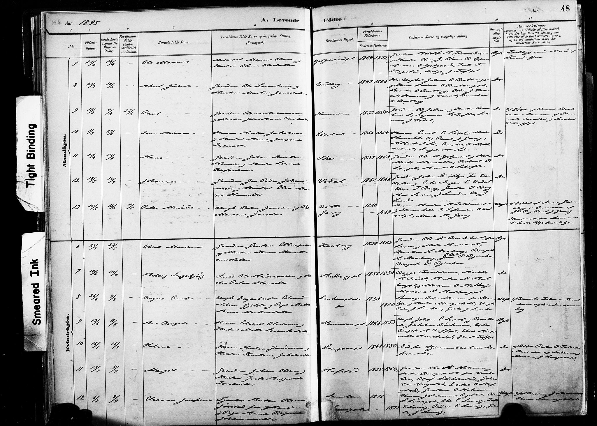 Ministerialprotokoller, klokkerbøker og fødselsregistre - Nord-Trøndelag, AV/SAT-A-1458/735/L0351: Parish register (official) no. 735A10, 1884-1908, p. 48