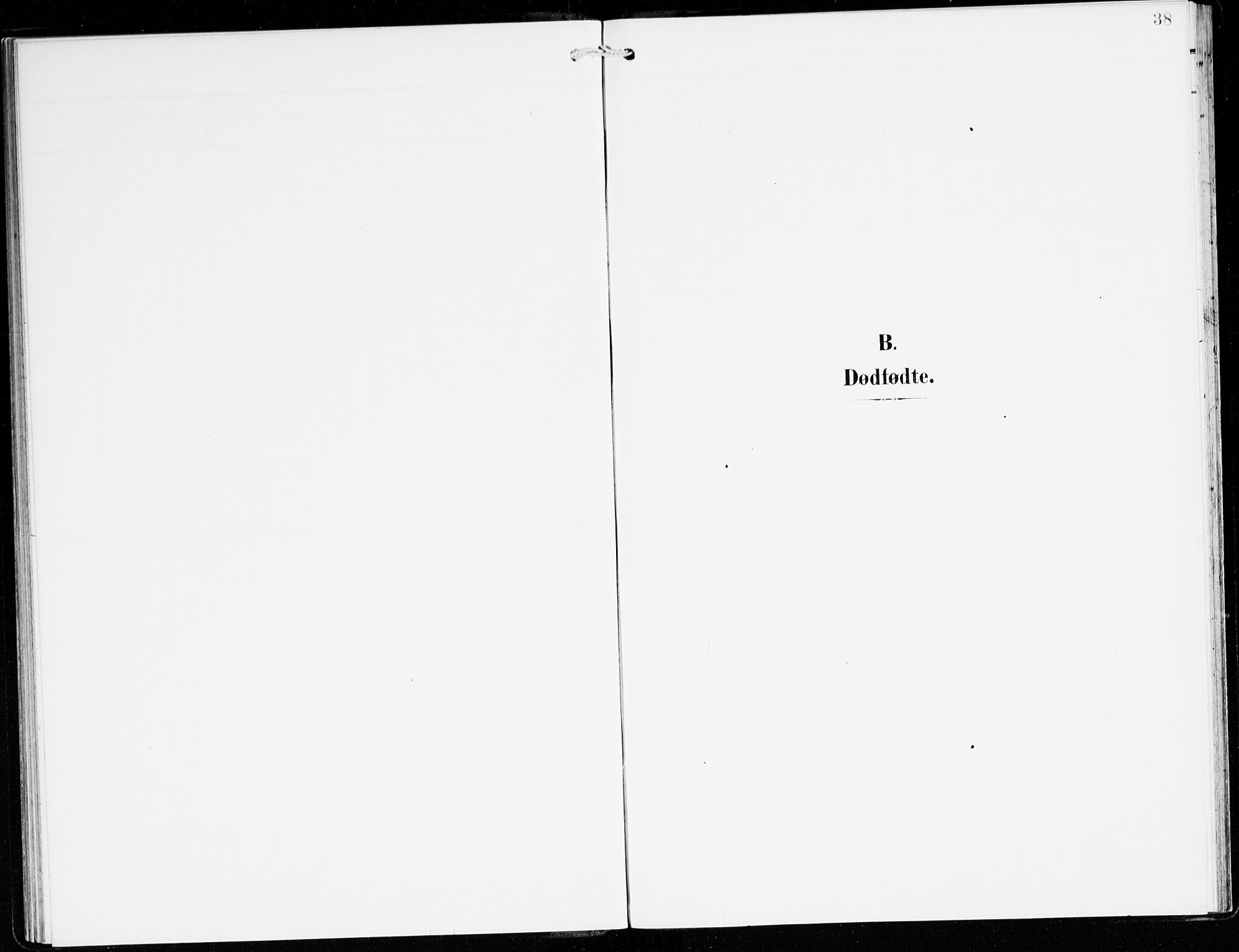 Hyllestad sokneprestembete, SAB/A-80401: Parish register (official) no. C 2, 1904-1917, p. 38