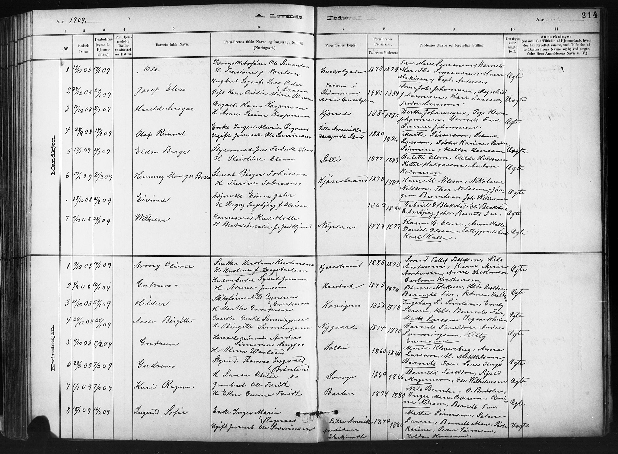 Barbu sokneprestkontor, SAK/1111-0003/F/Fb/L0002: Parish register (copy) no. B 2, 1890-1922, p. 214