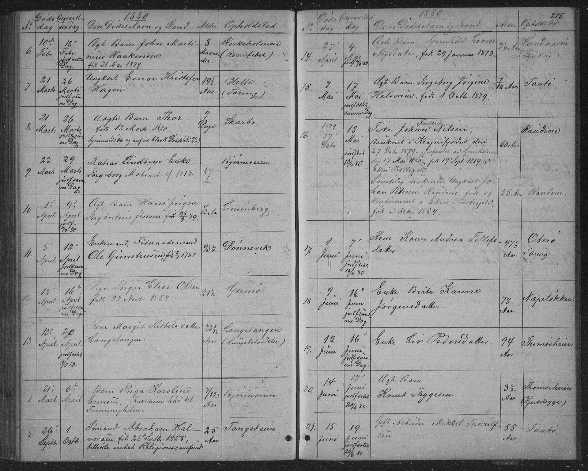 Skåtøy kirkebøker, AV/SAKO-A-304/G/Ga/L0002: Parish register (copy) no. I 2, 1872-1884, p. 215