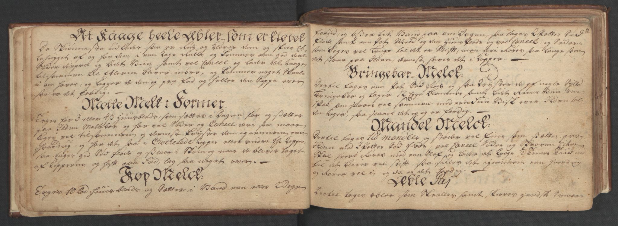 Manuskriptsamlingen, AV/RA-EA-3667/H/L0047: Familiestamrulle vedkommende Eliesonske, Ankerske, Colletske, Kiønigske m.m. familier - fra slutningen av 1600 til 1874 osv, 1600-1874, p. 8-9