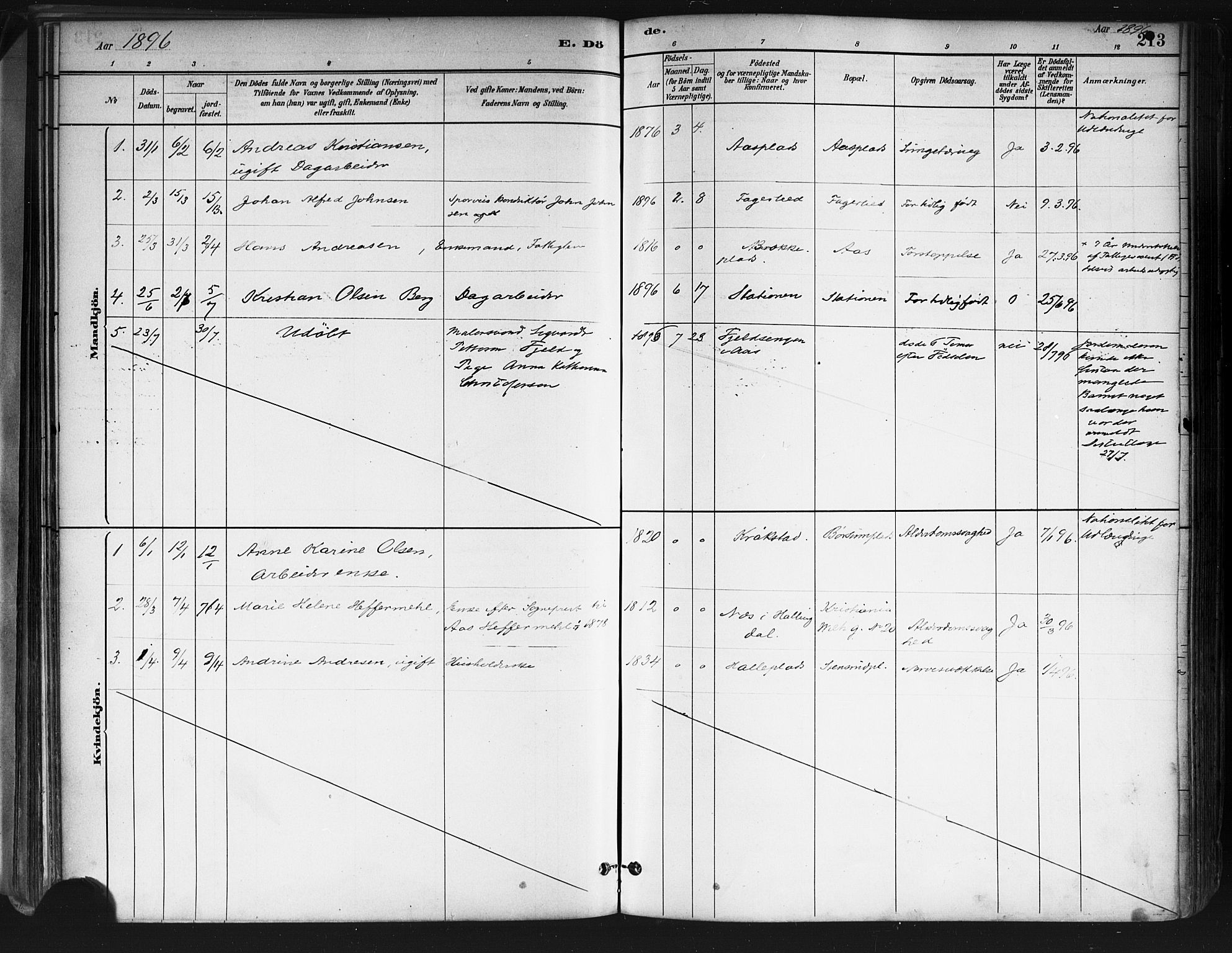 Ås prestekontor Kirkebøker, AV/SAO-A-10894/F/Fa/L0009: Parish register (official) no. I 9, 1881-1900, p. 213