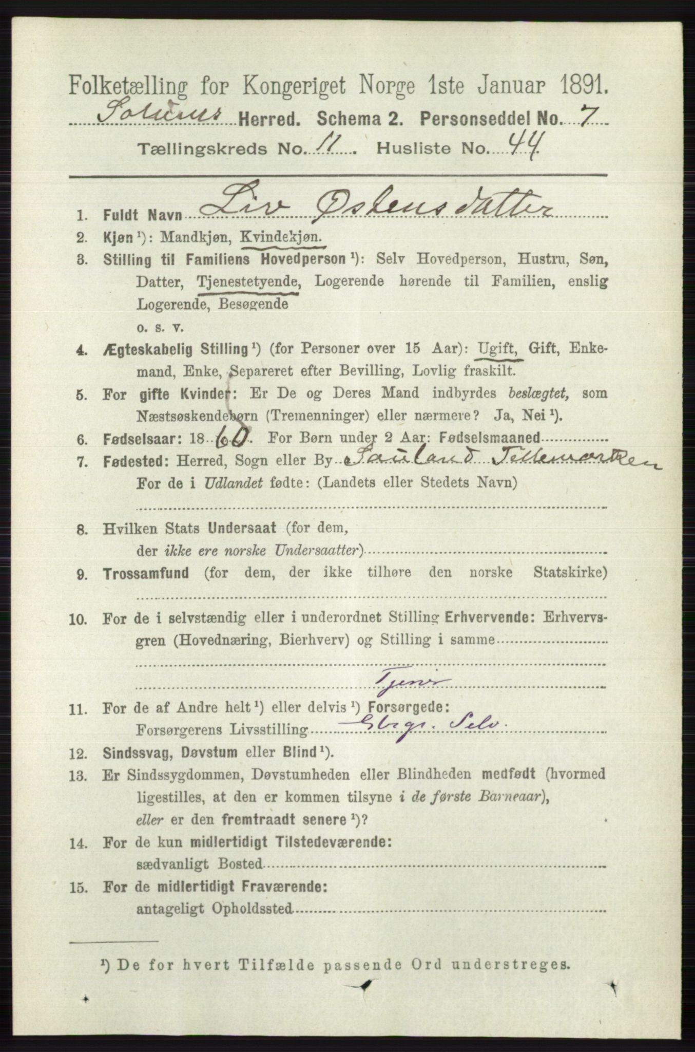 RA, 1891 census for 0818 Solum, 1891, p. 5534