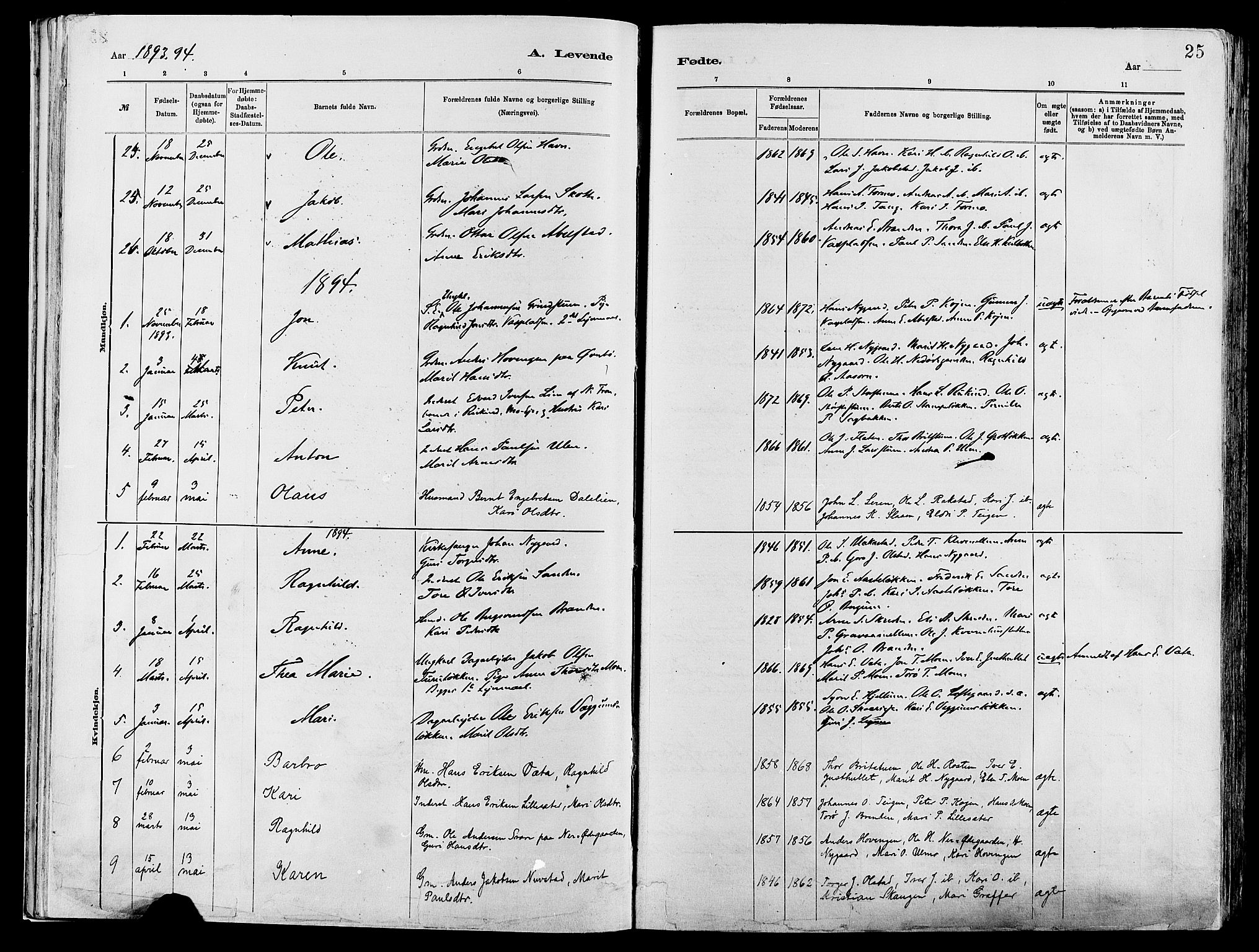 Vågå prestekontor, AV/SAH-PREST-076/H/Ha/Haa/L0008: Parish register (official) no. 8, 1886-1904, p. 25