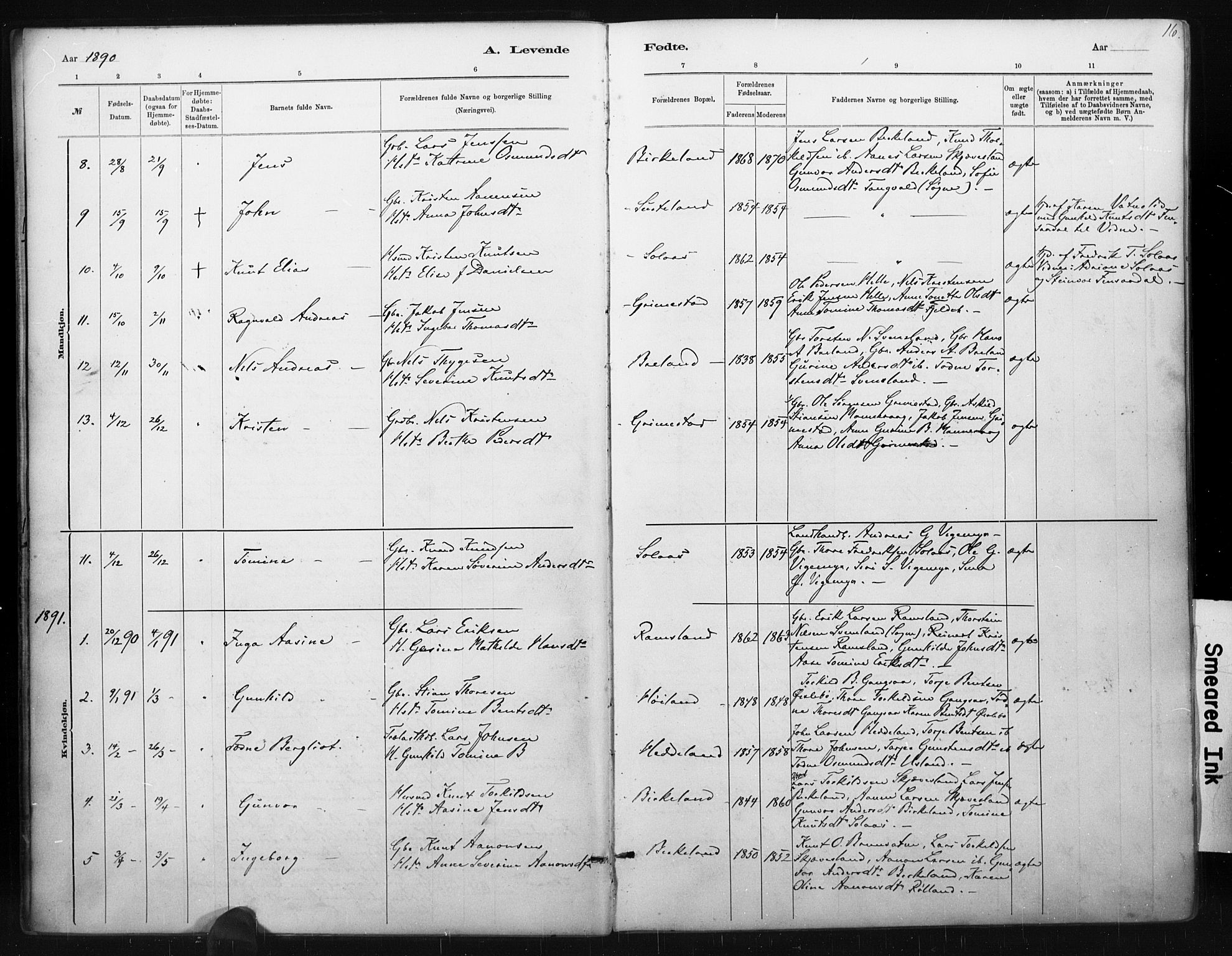 Holum sokneprestkontor, AV/SAK-1111-0022/F/Fa/Fac/L0004: Parish register (official) no. A 4, 1884-1907, p. 16