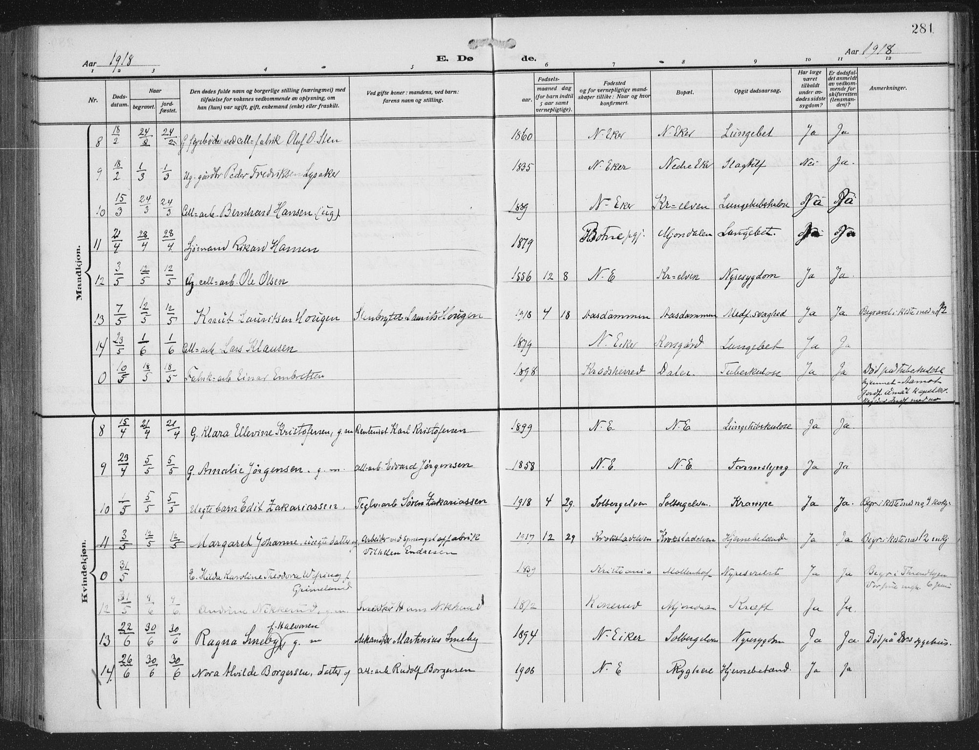 Nedre Eiker kirkebøker, AV/SAKO-A-612/F/Fa/L0007: Parish register (official) no. 7, 1912-1918, p. 281