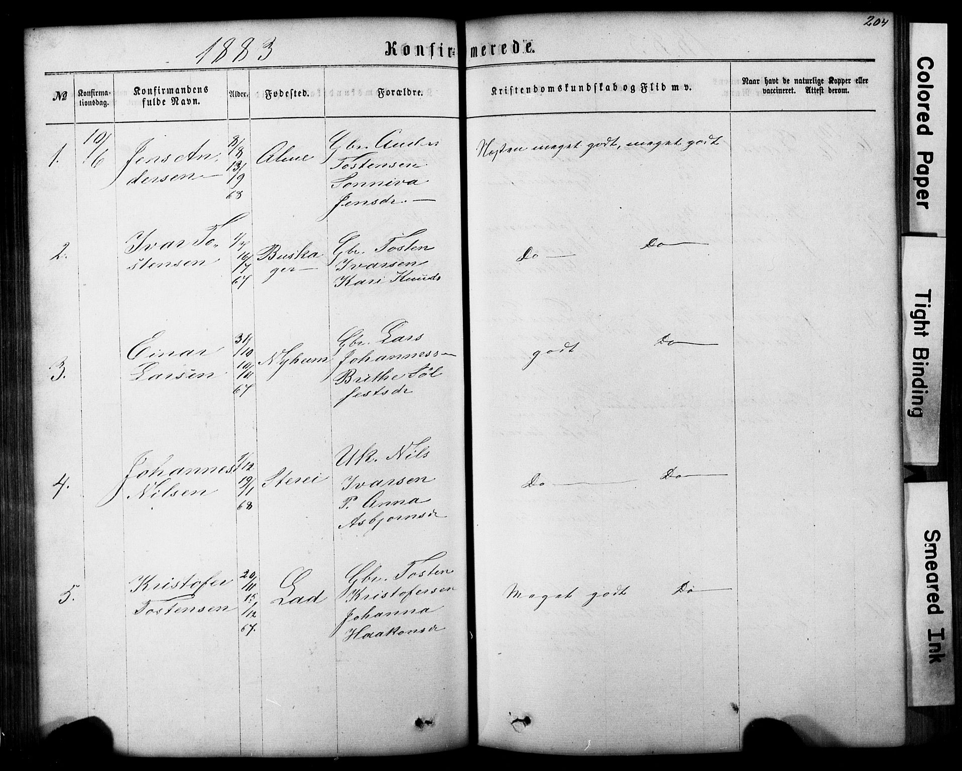 Hafslo sokneprestembete, SAB/A-80301/H/Hab/Haba/L0001: Parish register (copy) no. A 1, 1866-1908, p. 204