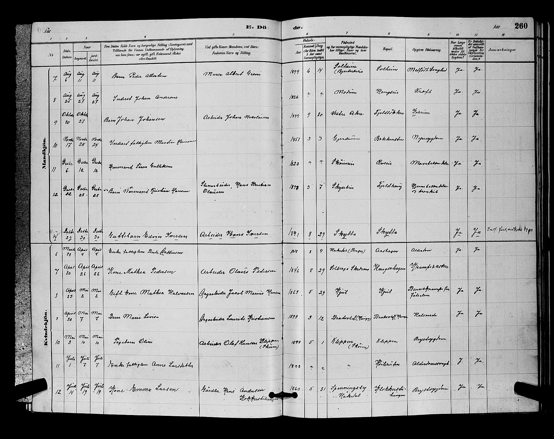 Nittedal prestekontor Kirkebøker, SAO/A-10365a/G/Ga/L0002: Parish register (copy) no. I 2, 1879-1901, p. 260