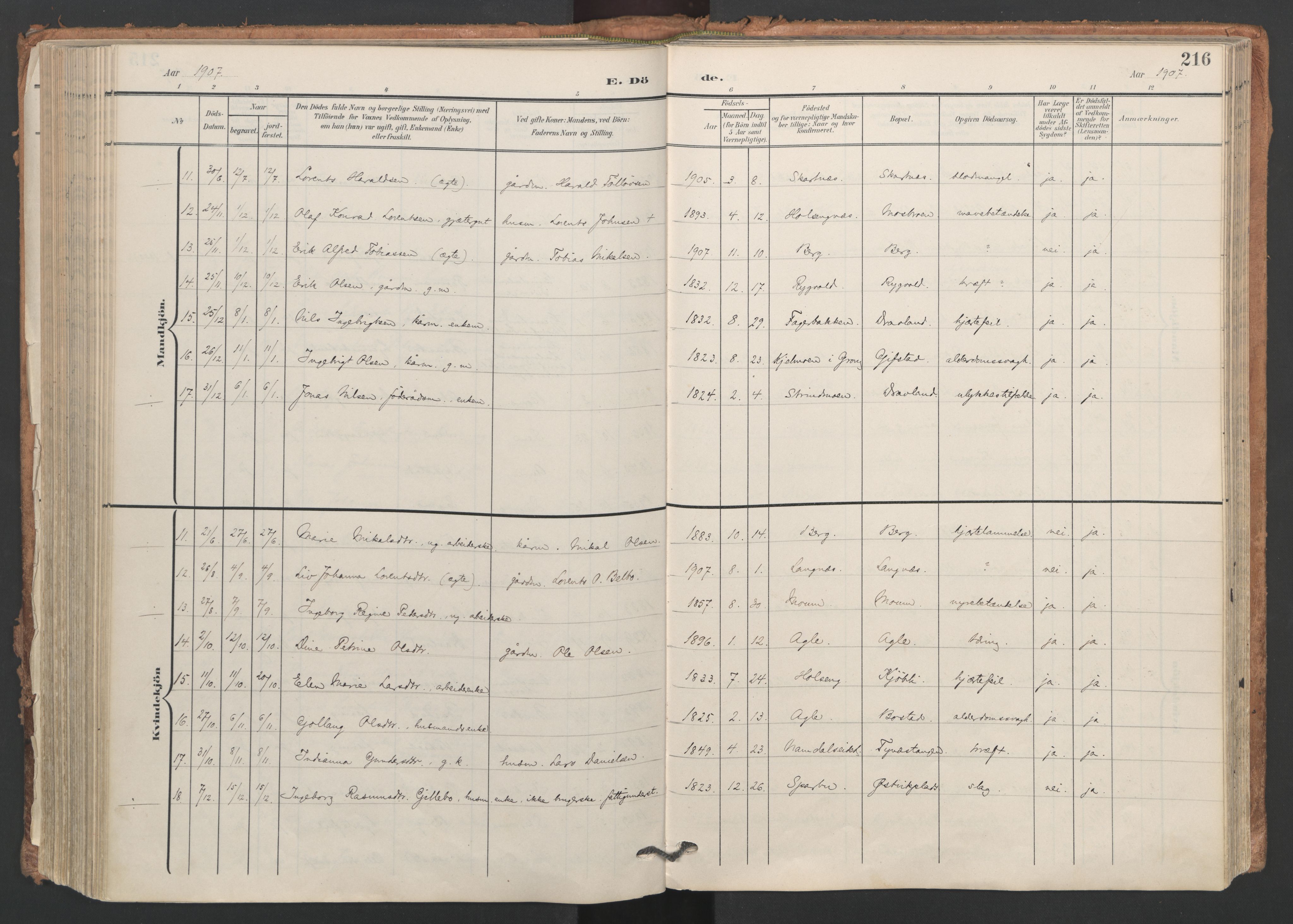 Ministerialprotokoller, klokkerbøker og fødselsregistre - Nord-Trøndelag, AV/SAT-A-1458/749/L0477: Parish register (official) no. 749A11, 1902-1927, p. 216