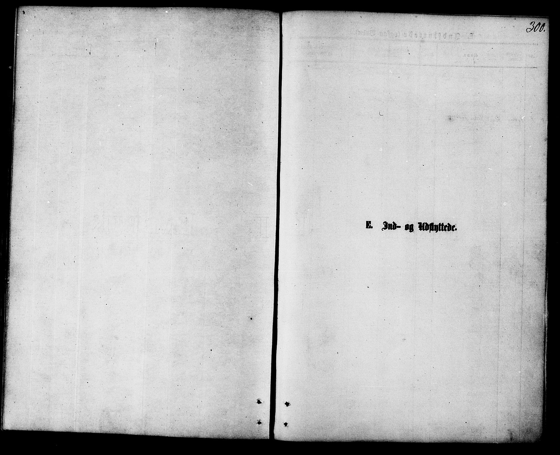 Ministerialprotokoller, klokkerbøker og fødselsregistre - Nordland, AV/SAT-A-1459/853/L0771: Parish register (official) no. 853A10, 1870-1881, p. 300