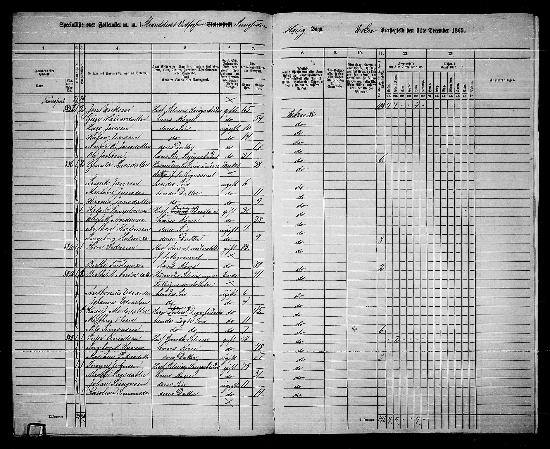 RA, 1865 census for Eiker, 1865, p. 258