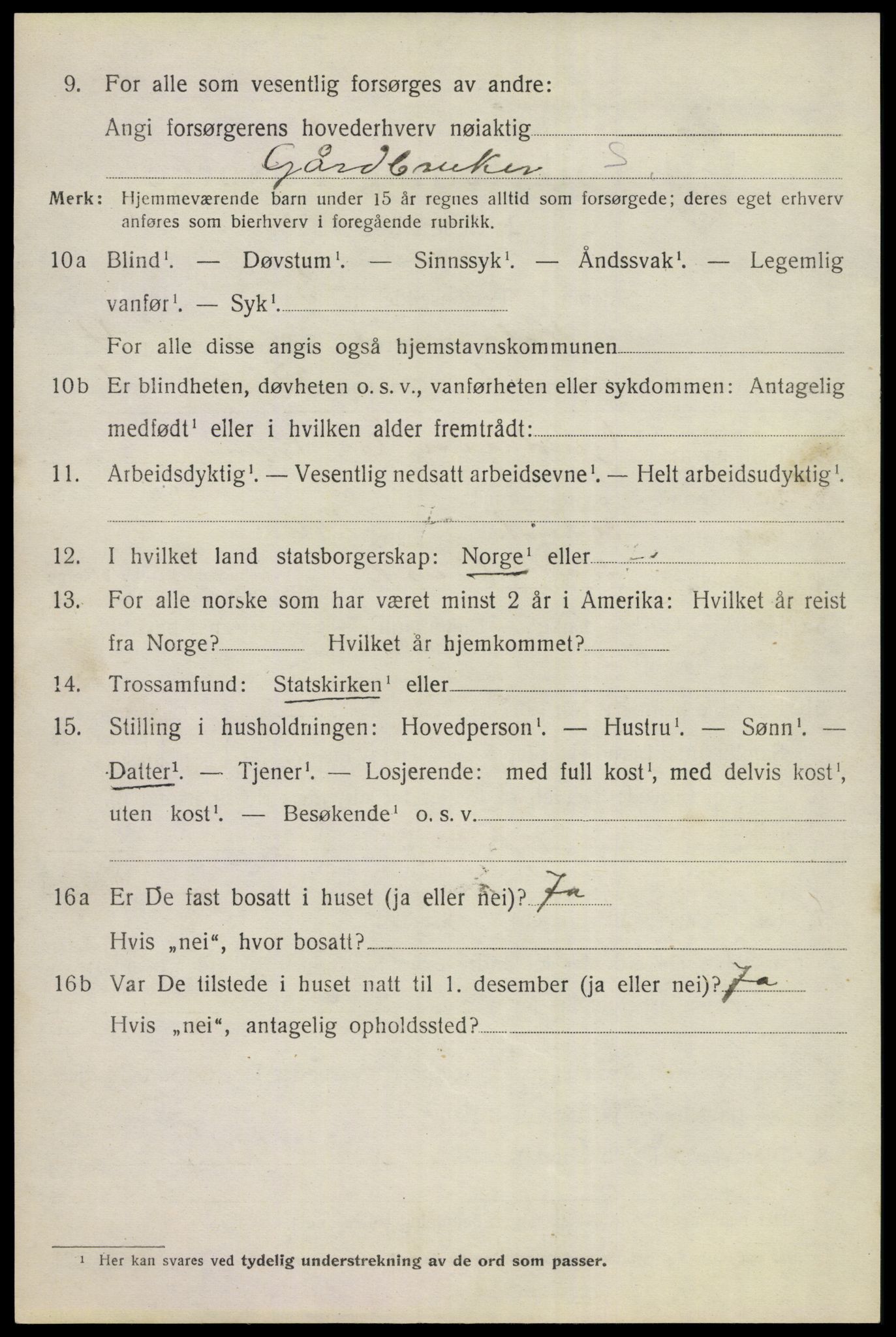 SAKO, 1920 census for Hol (Buskerud), 1920, p. 2422