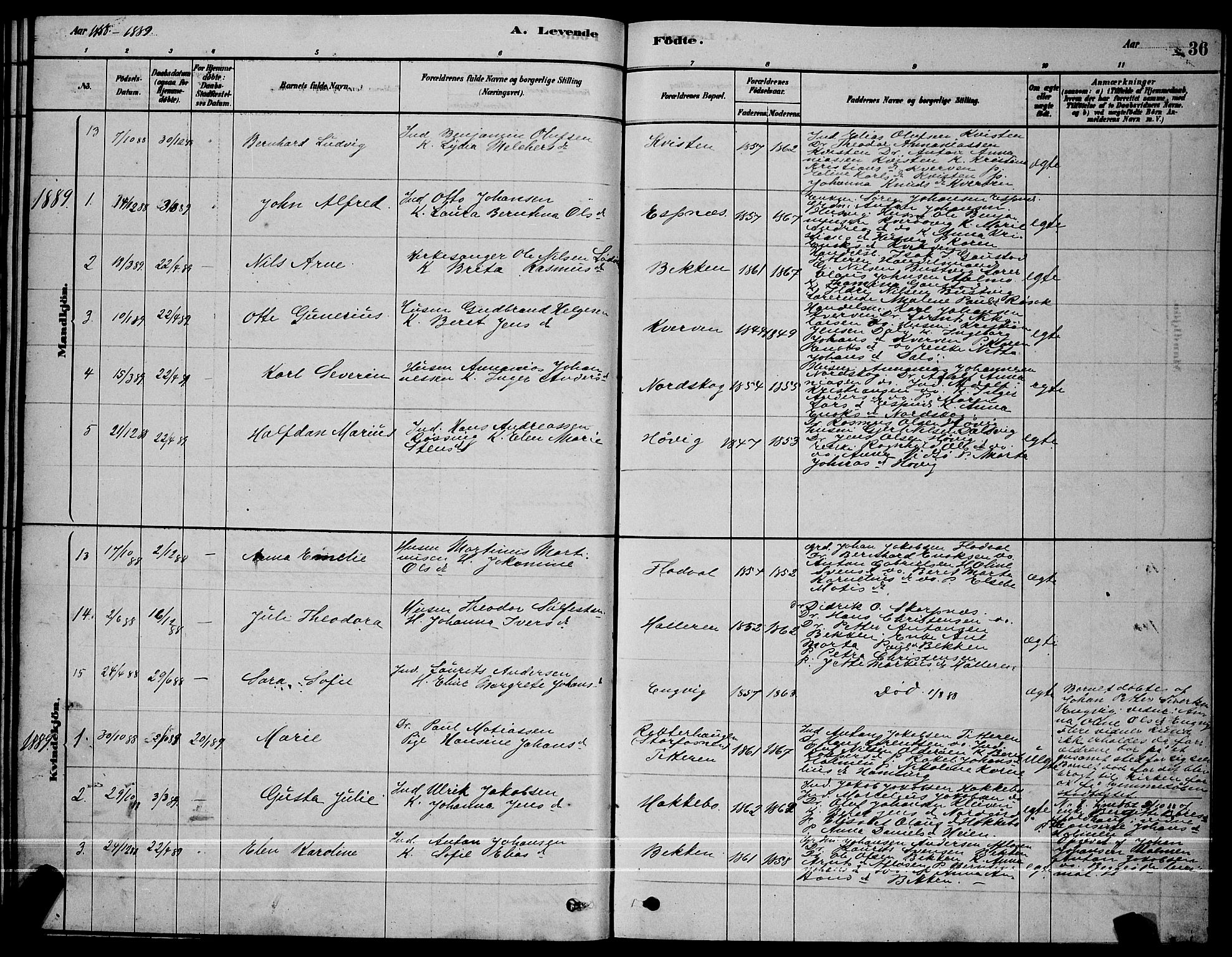 Ministerialprotokoller, klokkerbøker og fødselsregistre - Sør-Trøndelag, SAT/A-1456/641/L0597: Parish register (copy) no. 641C01, 1878-1893, p. 36