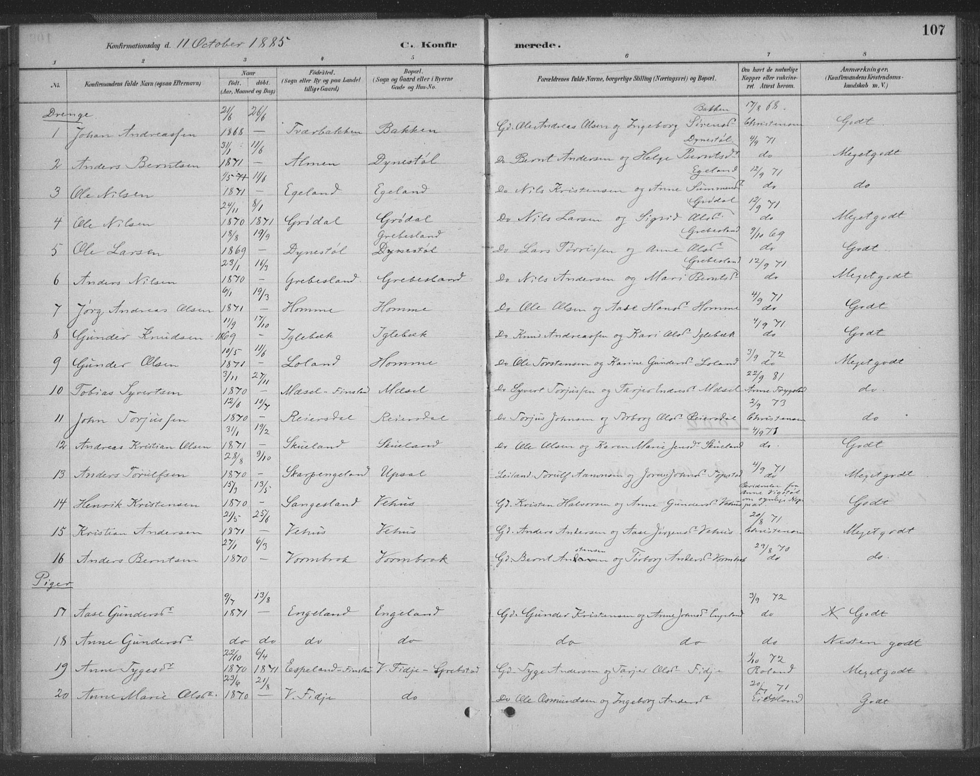 Vennesla sokneprestkontor, SAK/1111-0045/Fa/Fac/L0009: Parish register (official) no. A 9, 1884-1901, p. 107