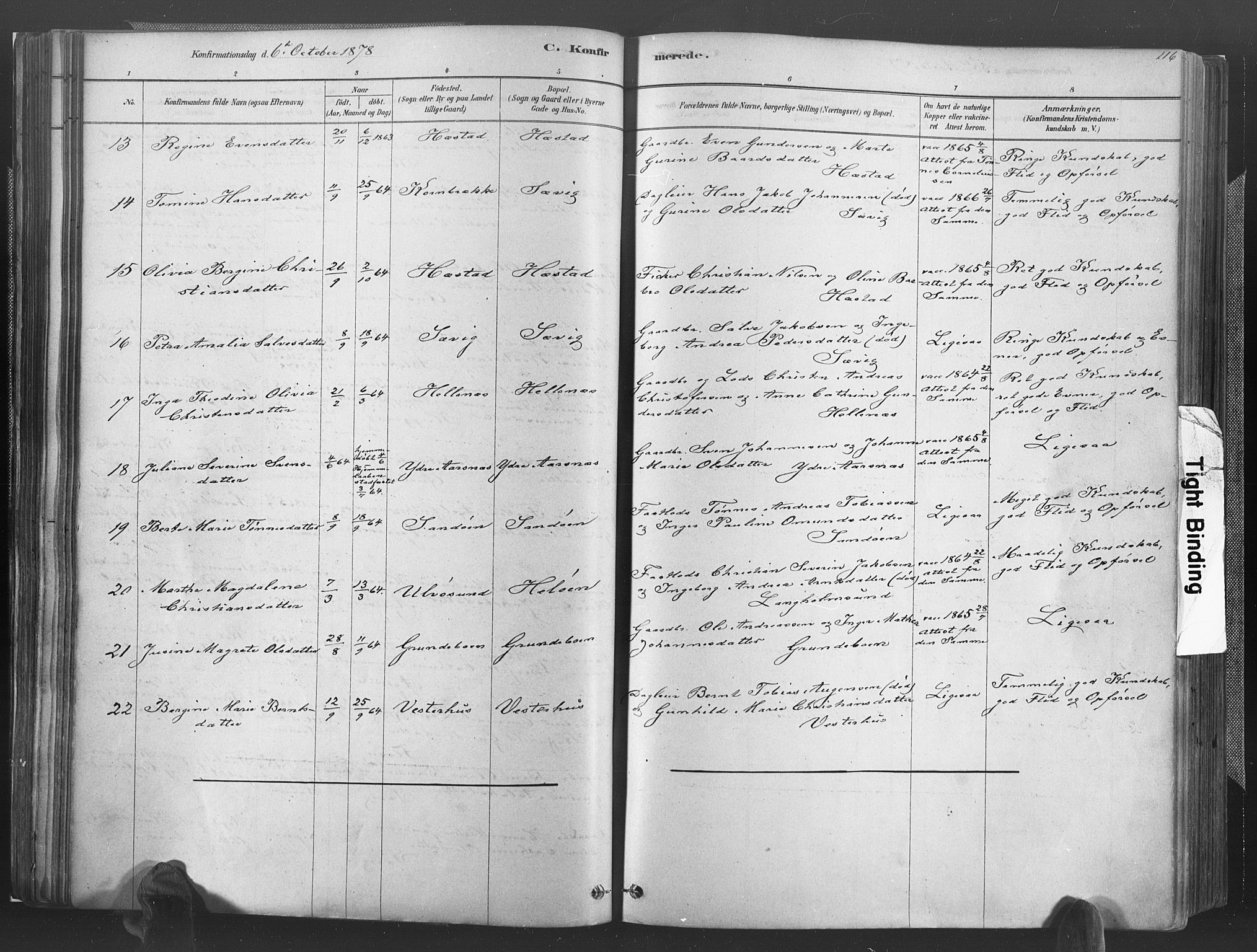 Høvåg sokneprestkontor, SAK/1111-0025/F/Fa/L0005: Parish register (official) no. A 5, 1878-1893, p. 116