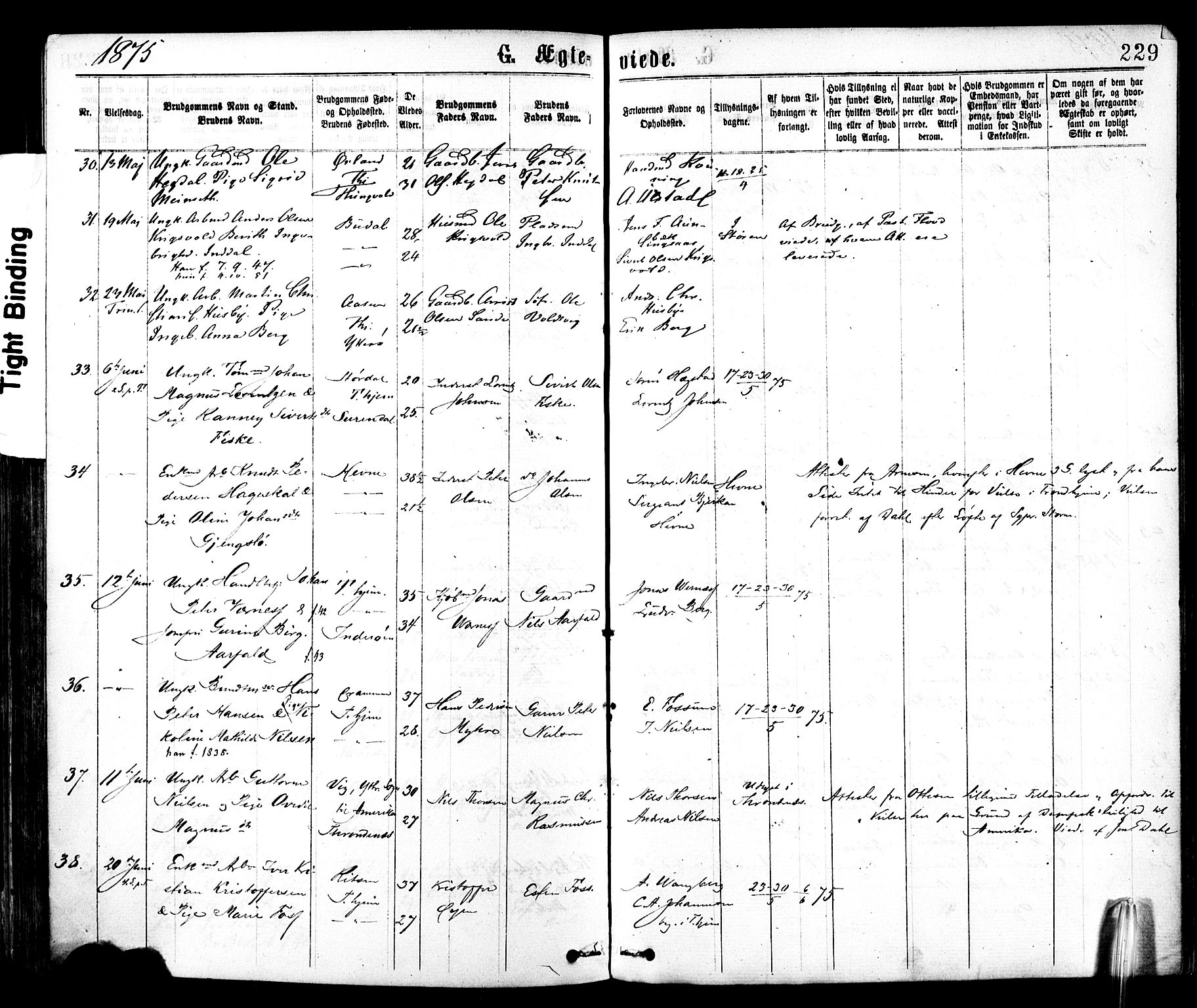 Ministerialprotokoller, klokkerbøker og fødselsregistre - Sør-Trøndelag, AV/SAT-A-1456/602/L0118: Parish register (official) no. 602A16, 1873-1879, p. 229