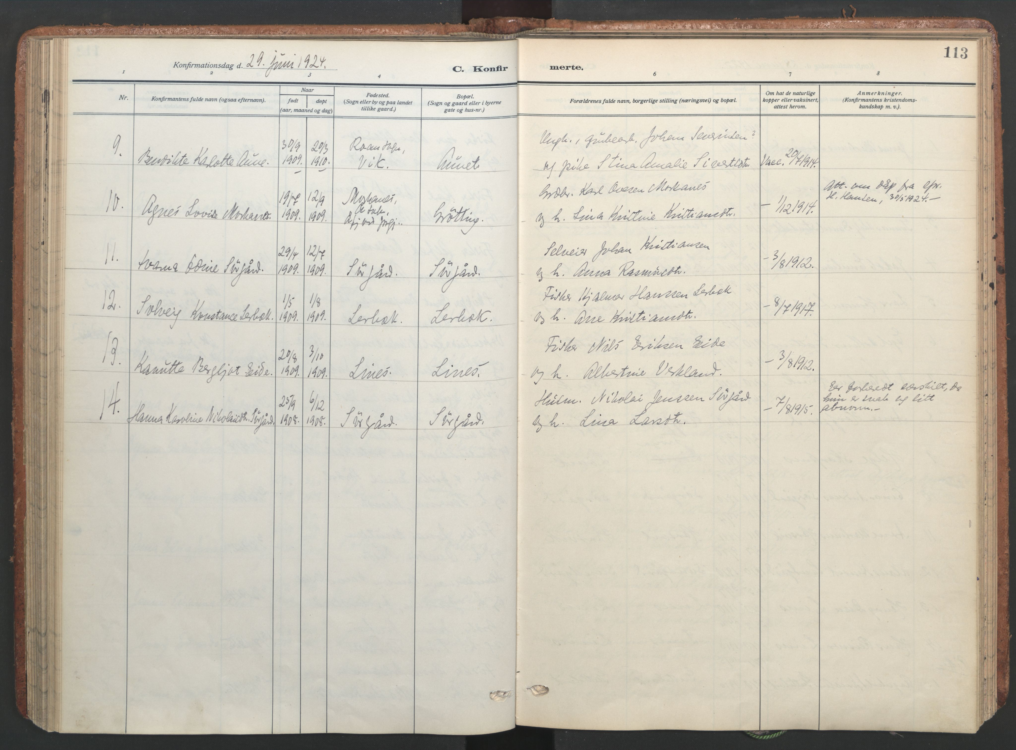 Ministerialprotokoller, klokkerbøker og fødselsregistre - Sør-Trøndelag, AV/SAT-A-1456/656/L0694: Parish register (official) no. 656A03, 1914-1931, p. 113