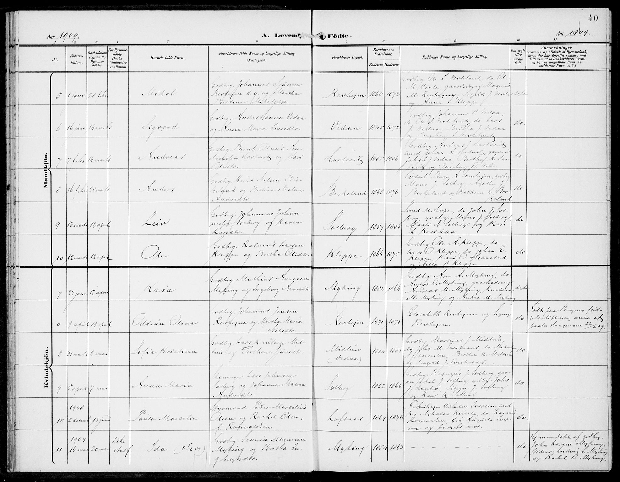 Haus sokneprestembete, AV/SAB-A-75601/H/Haa: Parish register (official) no. C  2, 1900-1915, p. 40