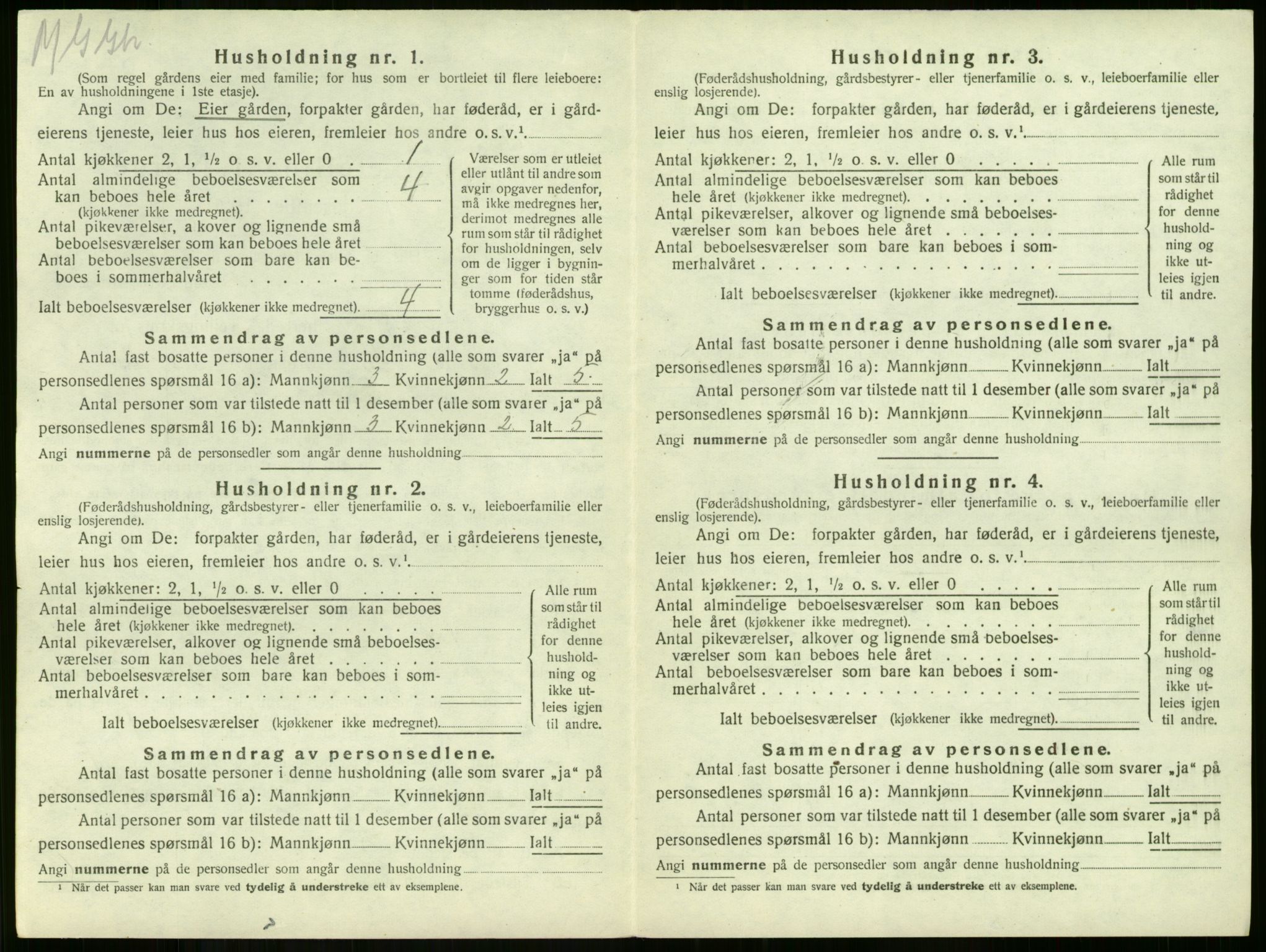 SAKO, 1920 census for Våle, 1920, p. 80