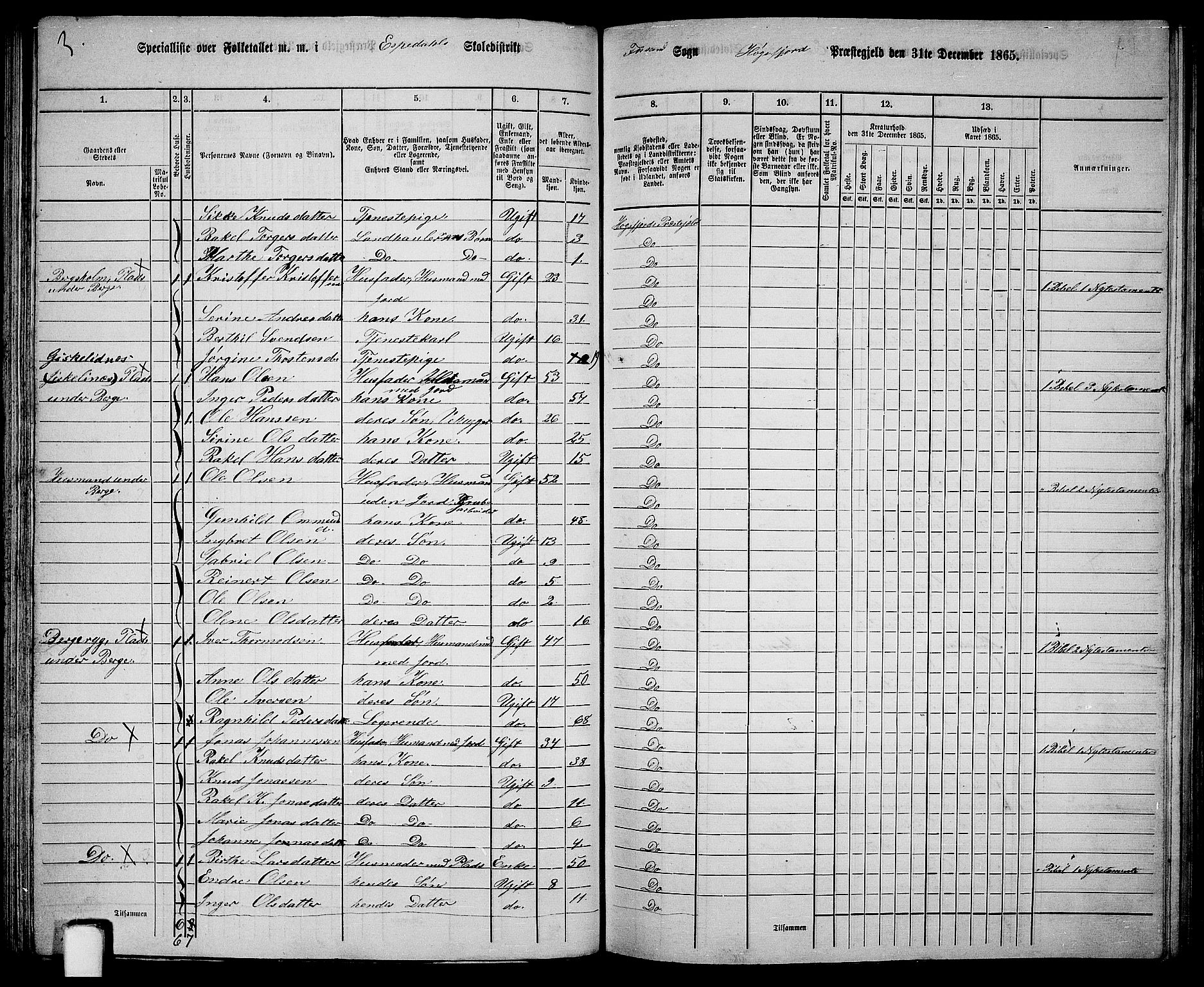 RA, 1865 census for Høgsfjord, 1865, p. 50