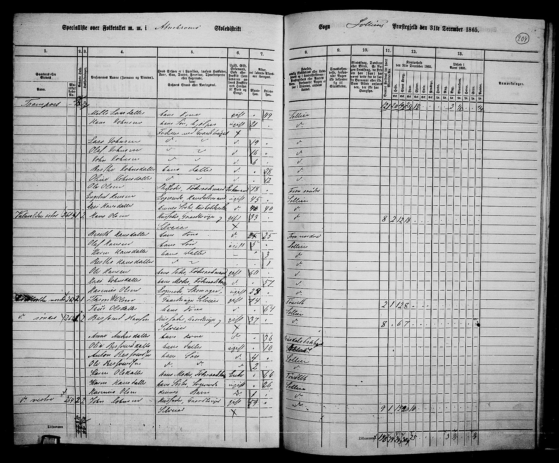 RA, 1865 census for Sollia, 1865, p. 12