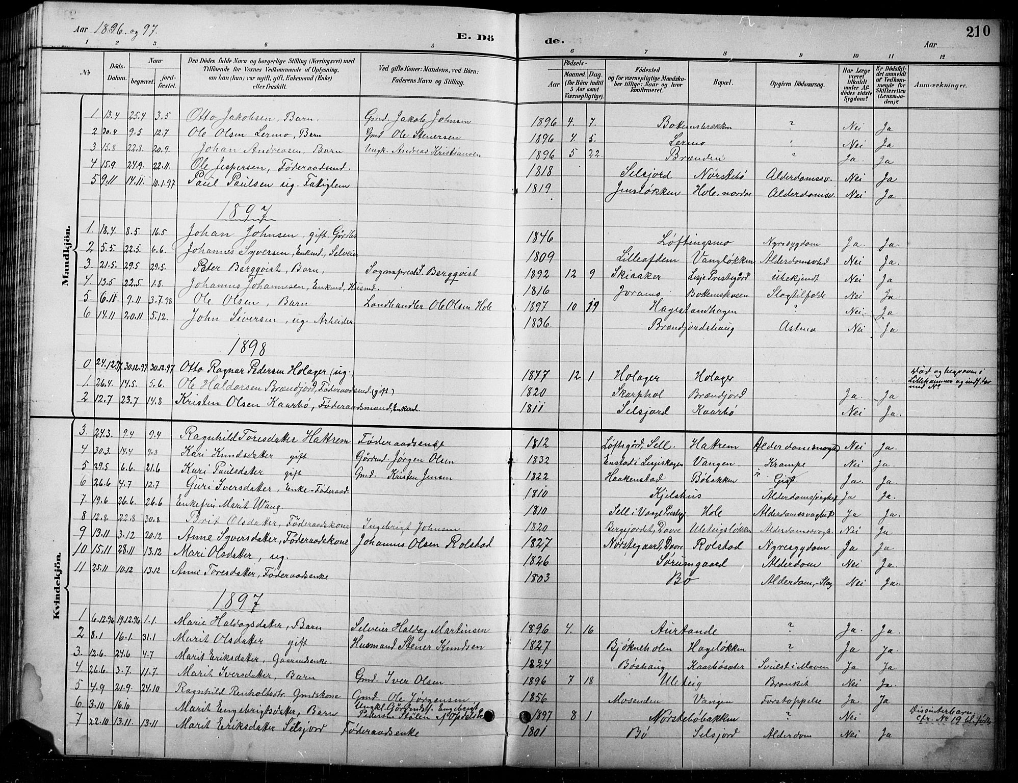 Lesja prestekontor, SAH/PREST-068/H/Ha/Hab/L0007: Parish register (copy) no. 7, 1895-1919, p. 210