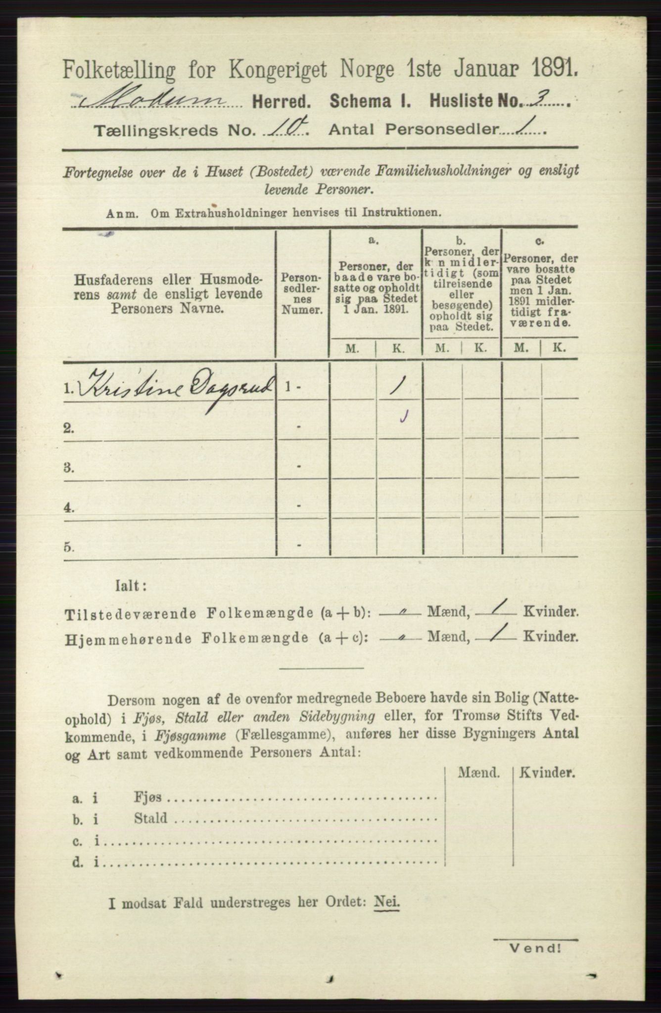 RA, 1891 census for 0623 Modum, 1891, p. 3951