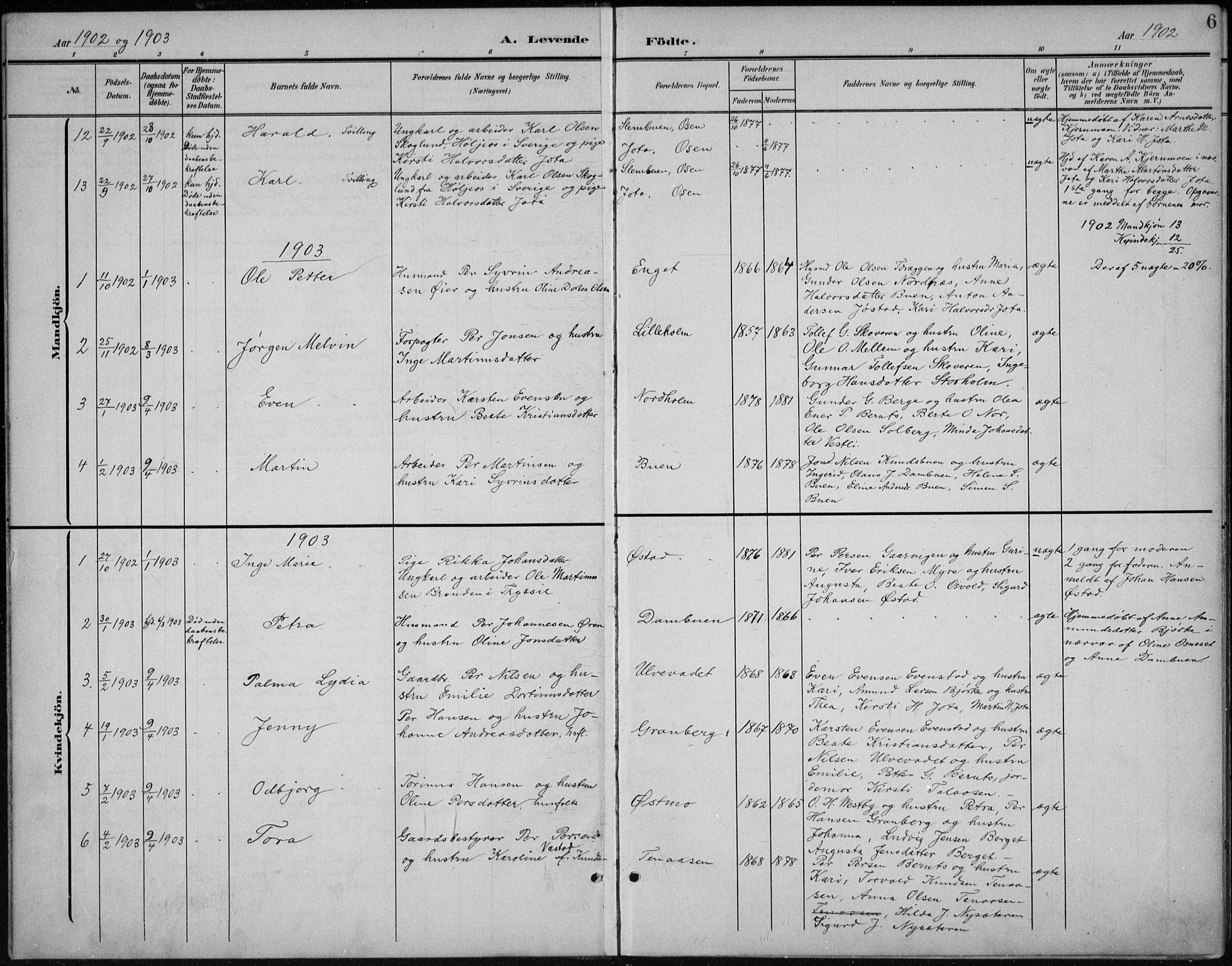 Åmot prestekontor, Hedmark, AV/SAH-PREST-056/H/Ha/Hab/L0003: Parish register (copy) no. 3, 1902-1938, p. 6