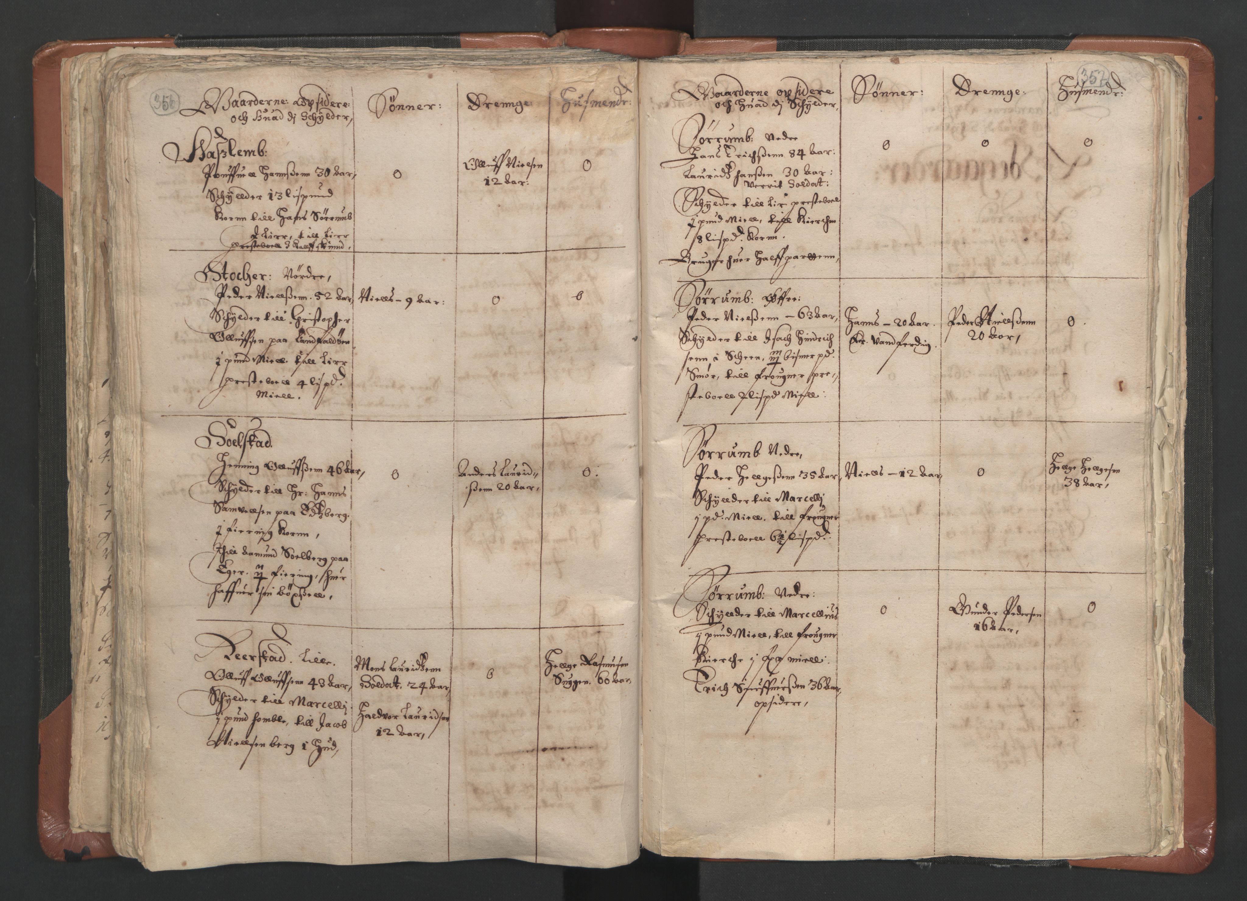 RA, Vicar's Census 1664-1666, no. 9: Bragernes deanery, 1664-1666, p. 356-357