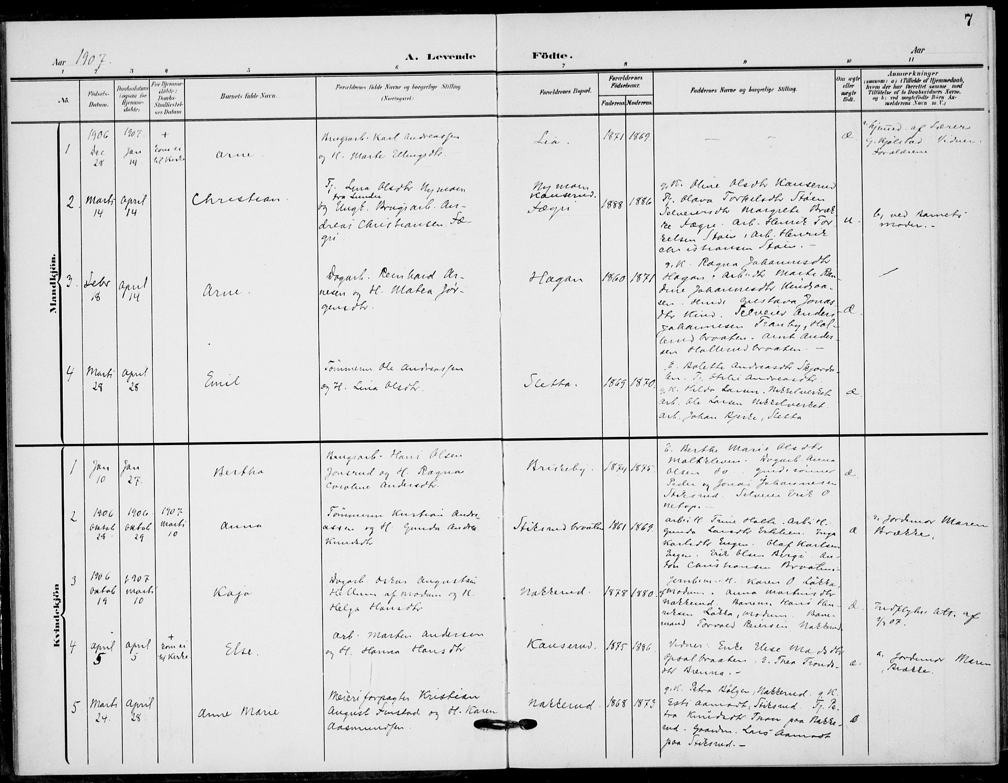 Hole kirkebøker, AV/SAKO-A-228/F/Fb/L0003: Parish register (official) no. II 3, 1906-1916, p. 7