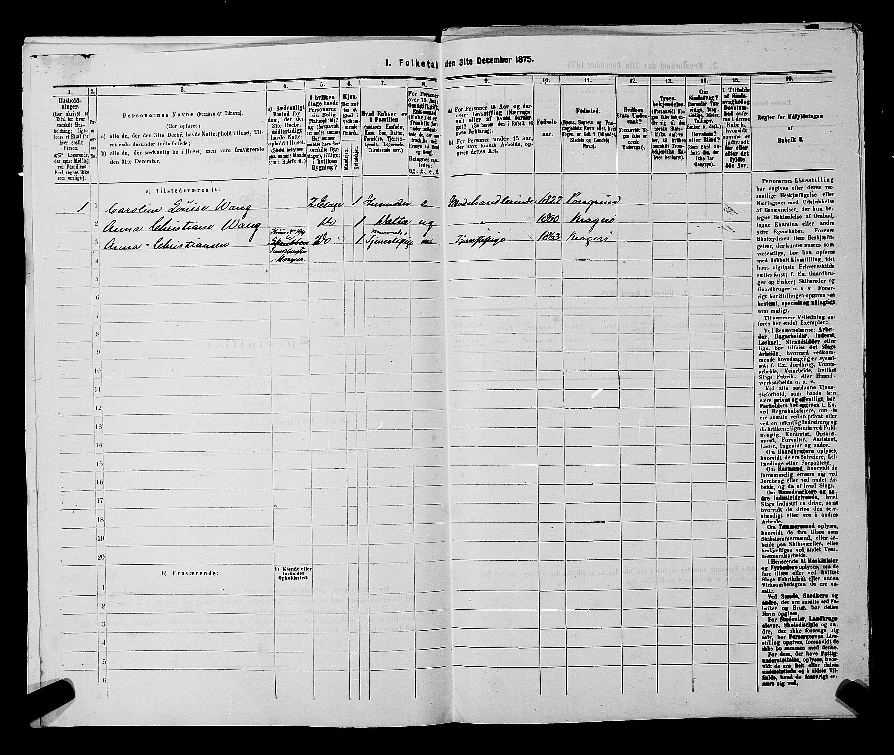 SAKO, 1875 census for 0801P Kragerø, 1875, p. 213