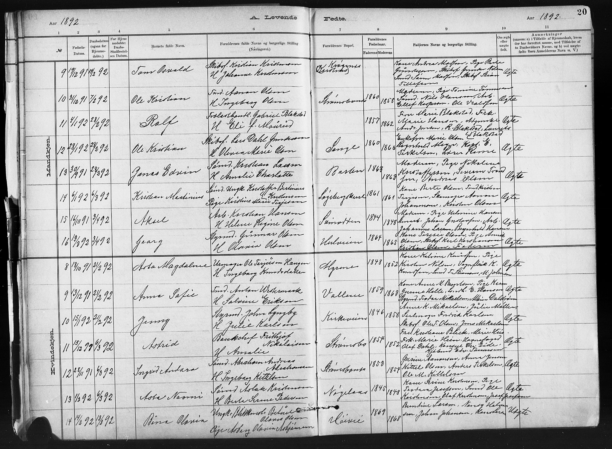 Barbu sokneprestkontor, AV/SAK-1111-0003/F/Fb/L0002: Parish register (copy) no. B 2, 1890-1922, p. 20