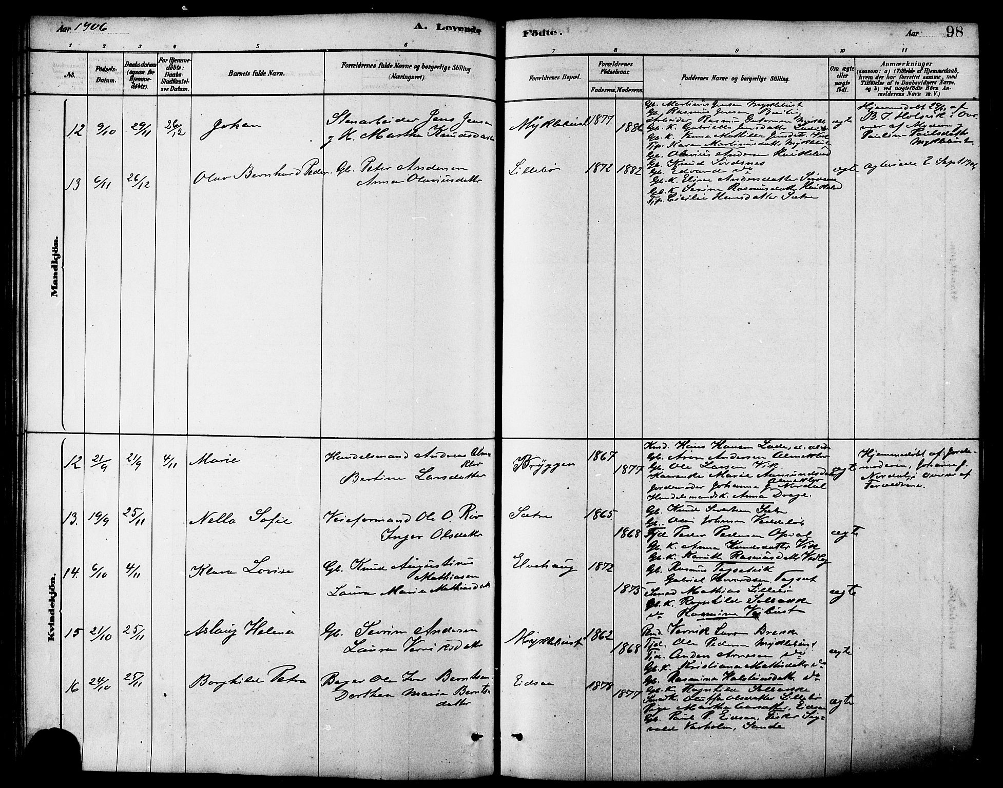 Ministerialprotokoller, klokkerbøker og fødselsregistre - Møre og Romsdal, AV/SAT-A-1454/502/L0027: Parish register (copy) no. 502C01, 1878-1908, p. 98