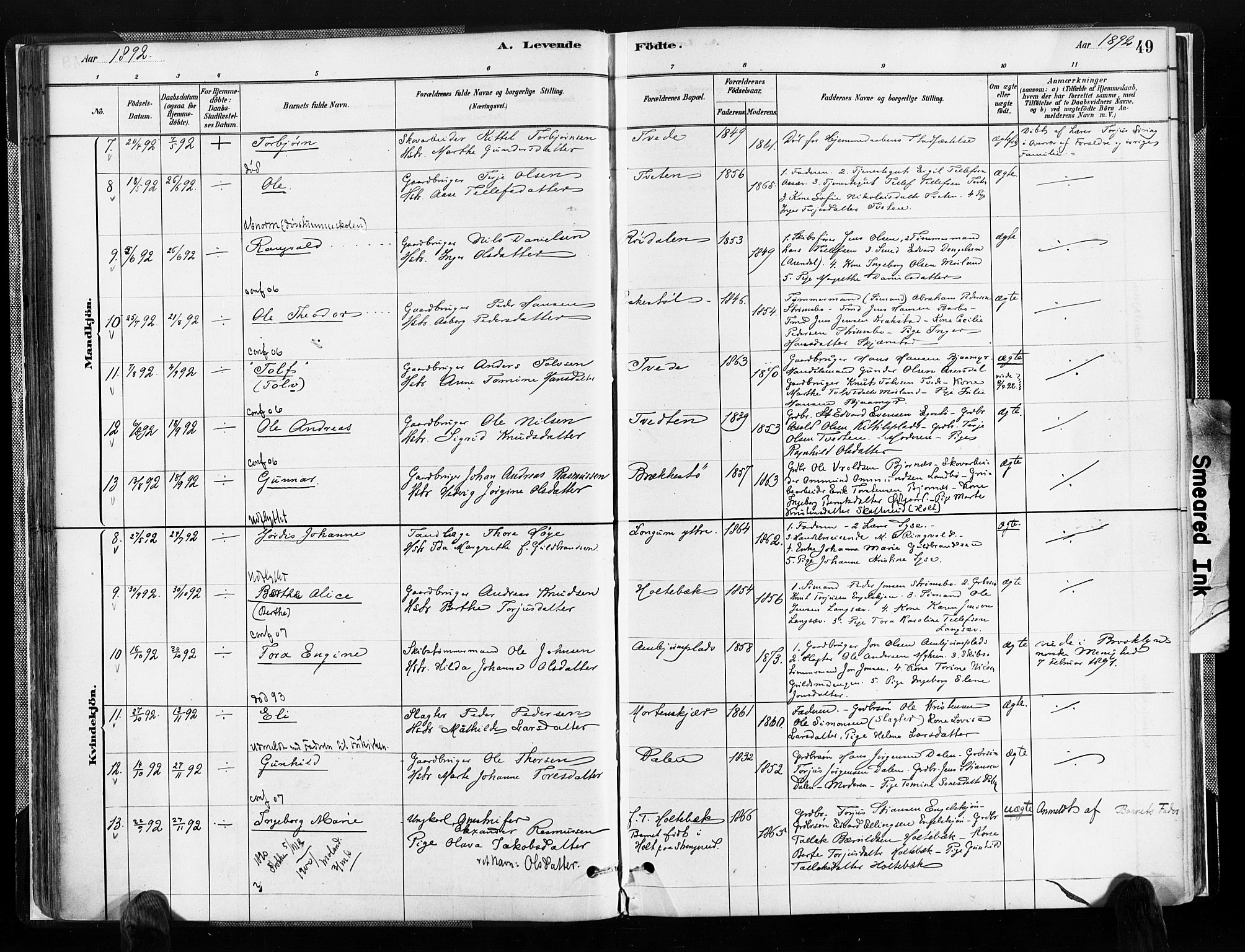 Austre Moland sokneprestkontor, SAK/1111-0001/F/Fa/Faa/L0010: Parish register (official) no. A 10, 1880-1904, p. 49