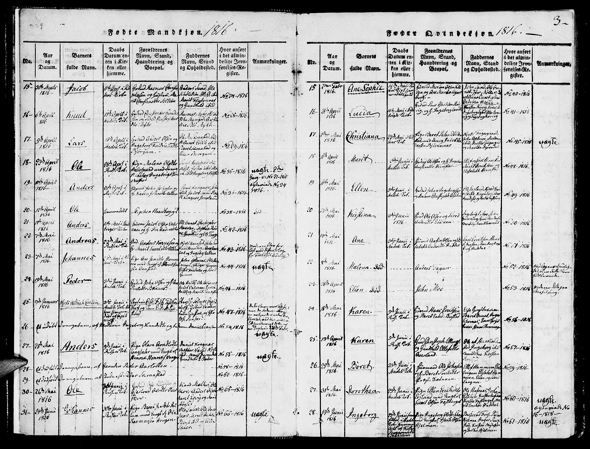 Ministerialprotokoller, klokkerbøker og fødselsregistre - Sør-Trøndelag, SAT/A-1456/646/L0608: Parish register (official) no. 646A06, 1816-1825, p. 3