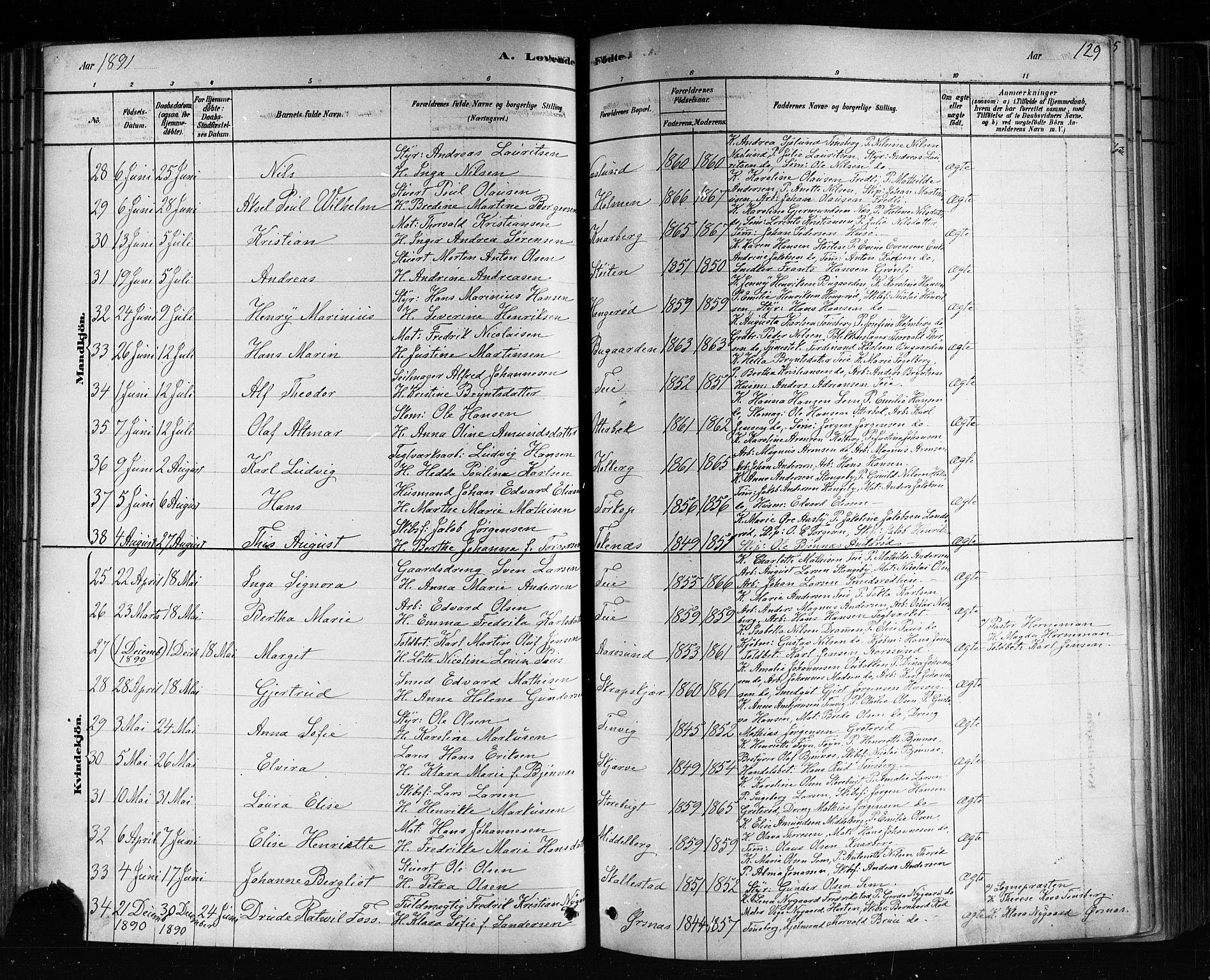 Nøtterøy kirkebøker, AV/SAKO-A-354/F/Fa/L0008: Parish register (official) no. I 8, 1878-1893, p. 129