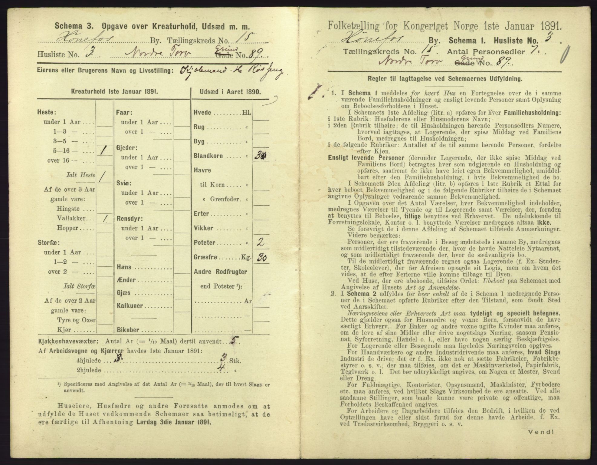 RA, 1891 census for 0601 Hønefoss, 1891, p. 323