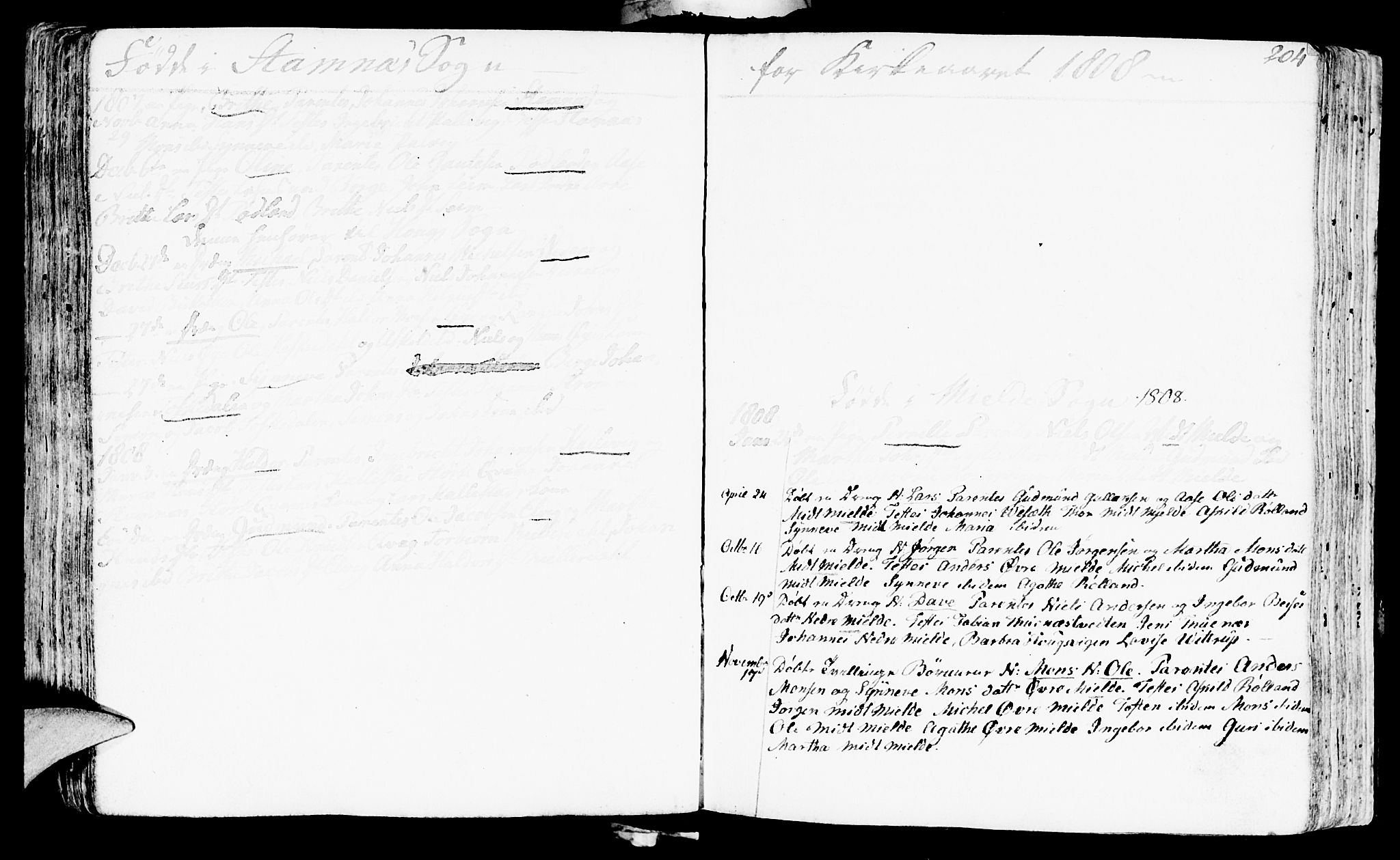 Haus sokneprestembete, AV/SAB-A-75601/H/Haa: Parish register (official) no. A 11, 1796-1816, p. 204