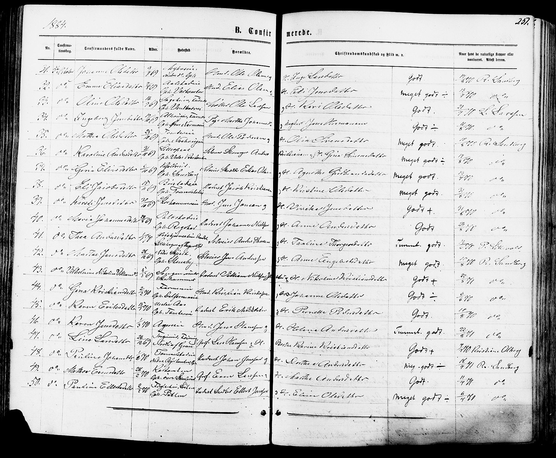 Vang prestekontor, Hedmark, AV/SAH-PREST-008/H/Ha/Haa/L0015: Parish register (official) no. 15, 1871-1885, p. 251