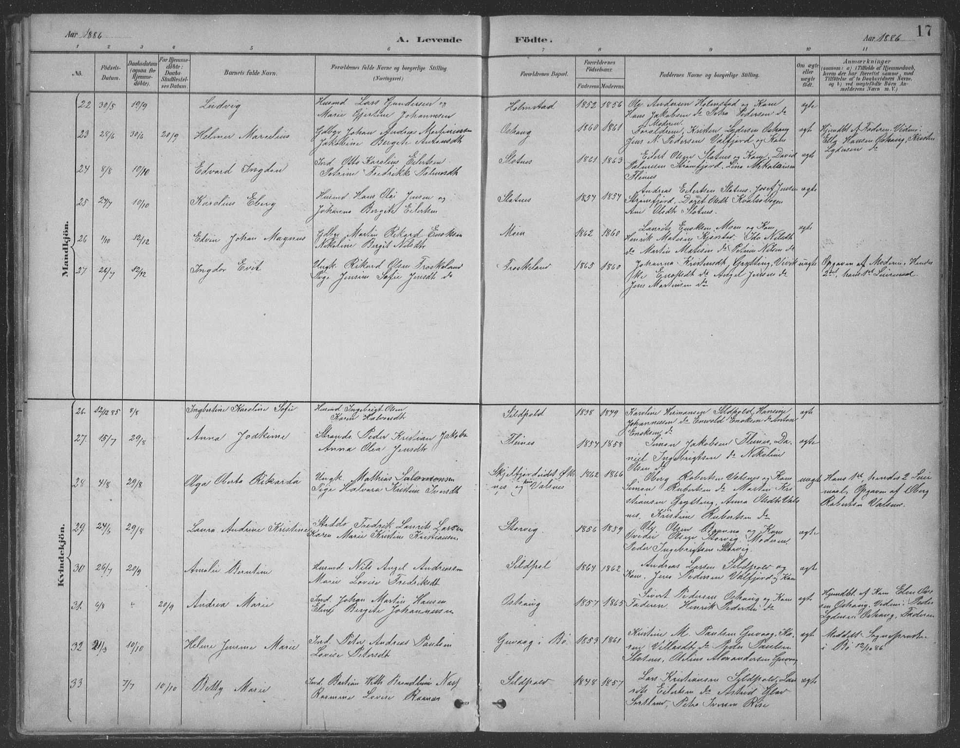 Ministerialprotokoller, klokkerbøker og fødselsregistre - Nordland, AV/SAT-A-1459/890/L1290: Parish register (copy) no. 890C01, 1882-1911, p. 17