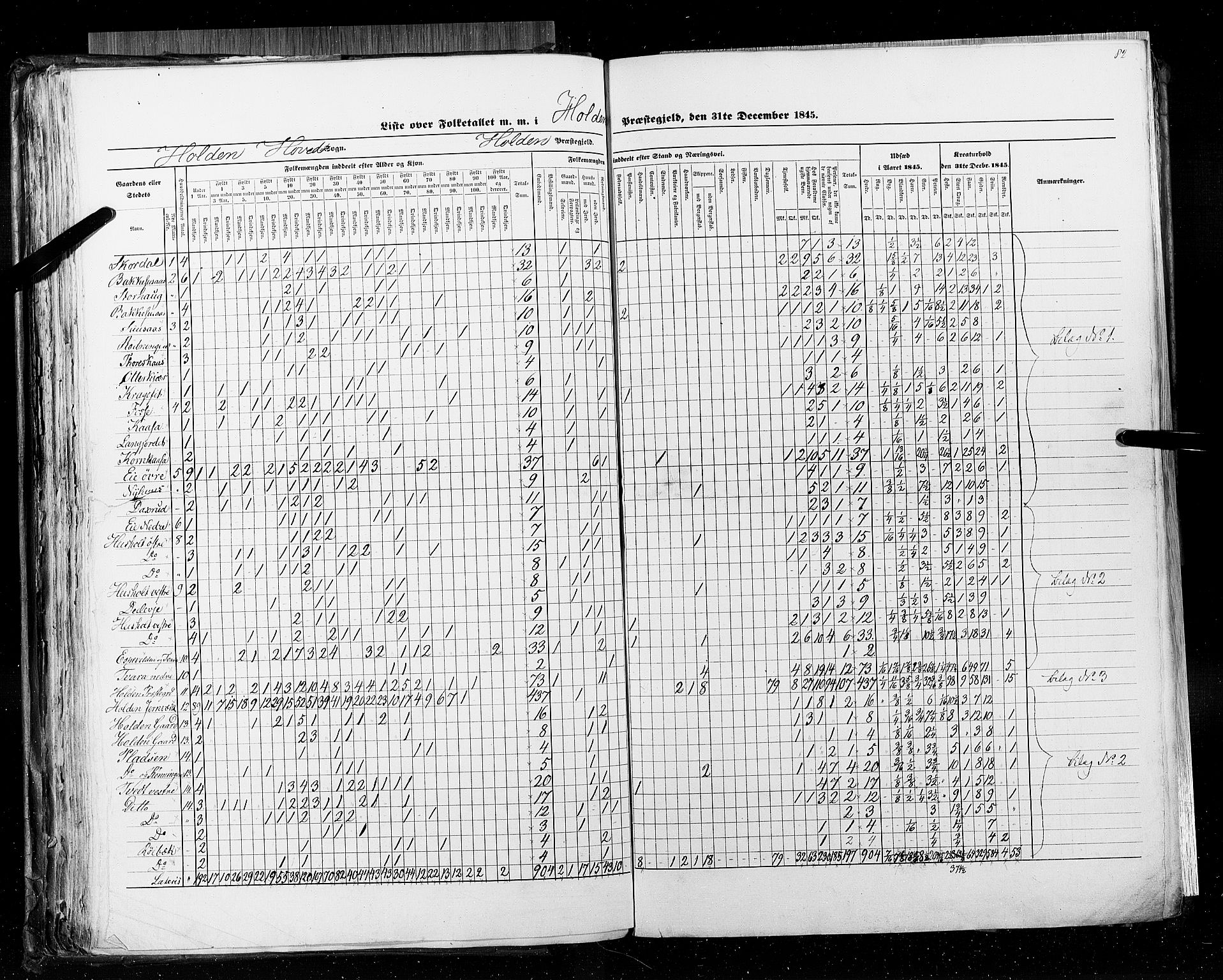 RA, Census 1845, vol. 5: Bratsberg amt og Nedenes og Råbyggelaget amt, 1845, p. 82