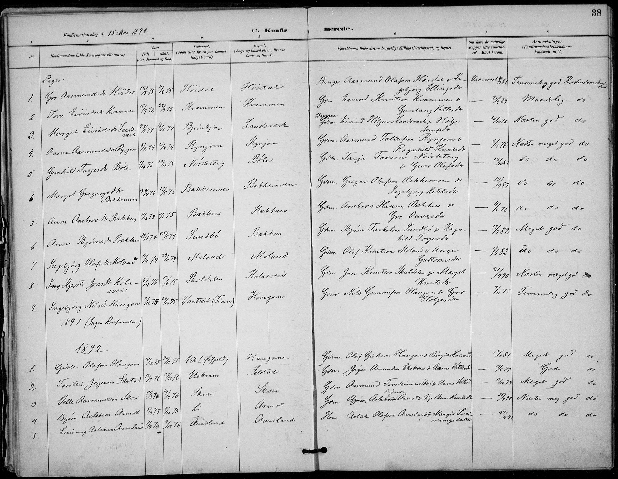 Seljord kirkebøker, AV/SAKO-A-20/F/Fc/L0002: Parish register (official) no. III 2, 1887-1920, p. 38