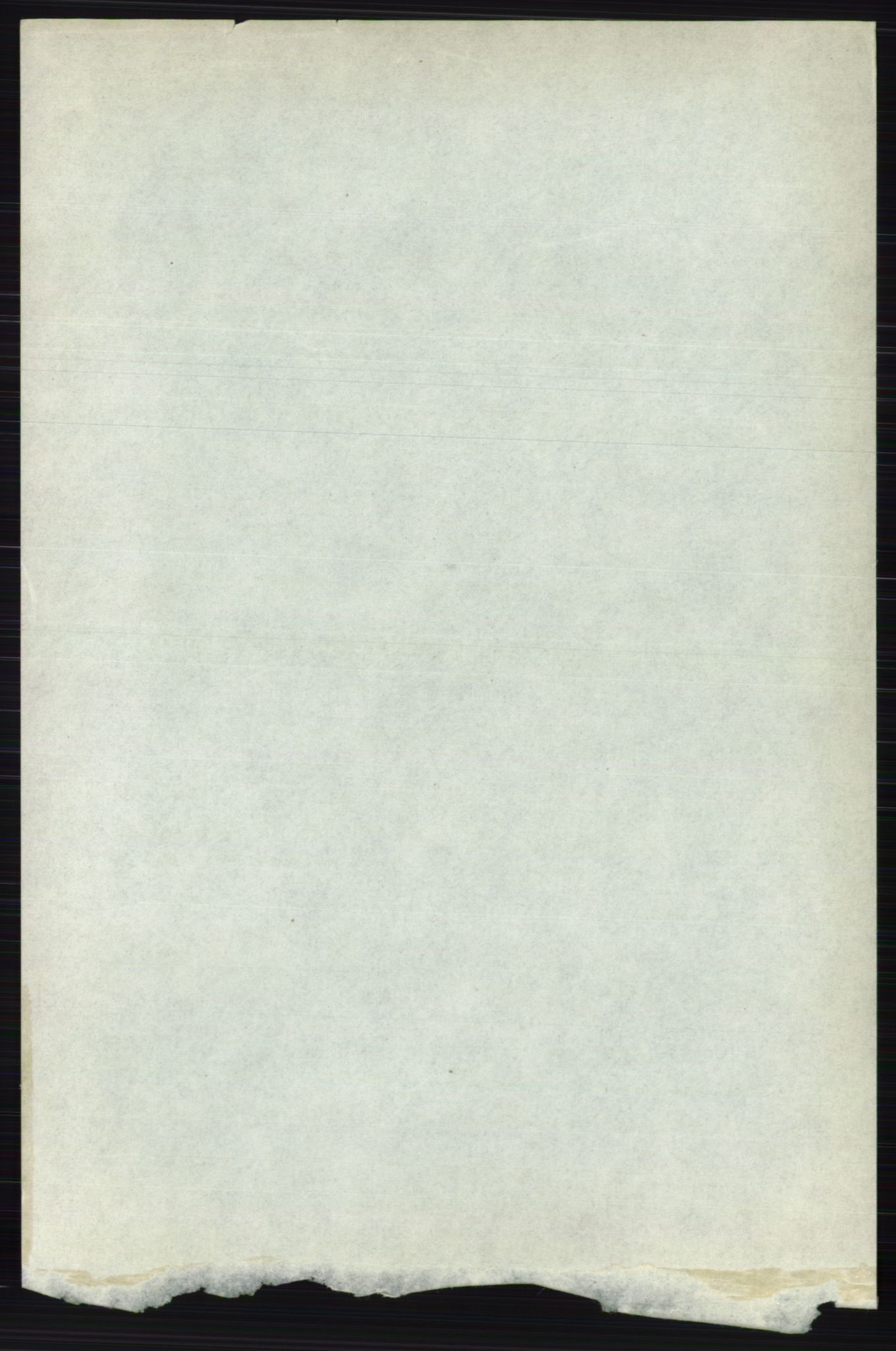 RA, 1891 census for 0236 Nes, 1891, p. 8418