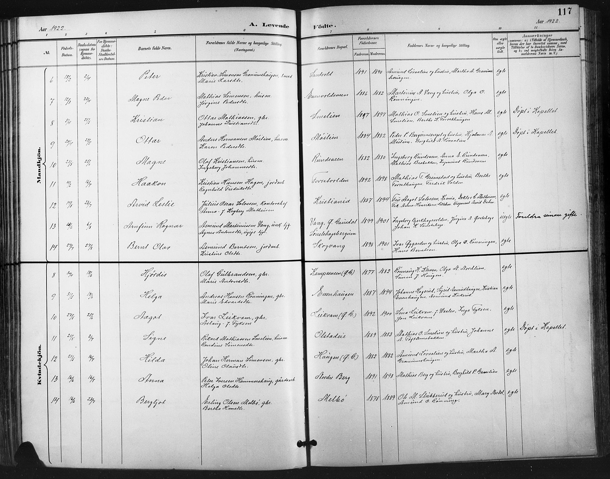 Vestre Gausdal prestekontor, SAH/PREST-094/H/Ha/Hab/L0003: Parish register (copy) no. 3, 1896-1925, p. 117