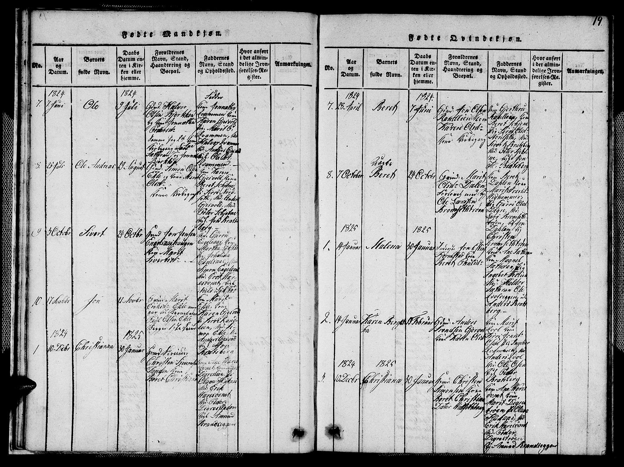 Ministerialprotokoller, klokkerbøker og fødselsregistre - Sør-Trøndelag, SAT/A-1456/608/L0336: Parish register (copy) no. 608C02, 1817-1827, p. 19