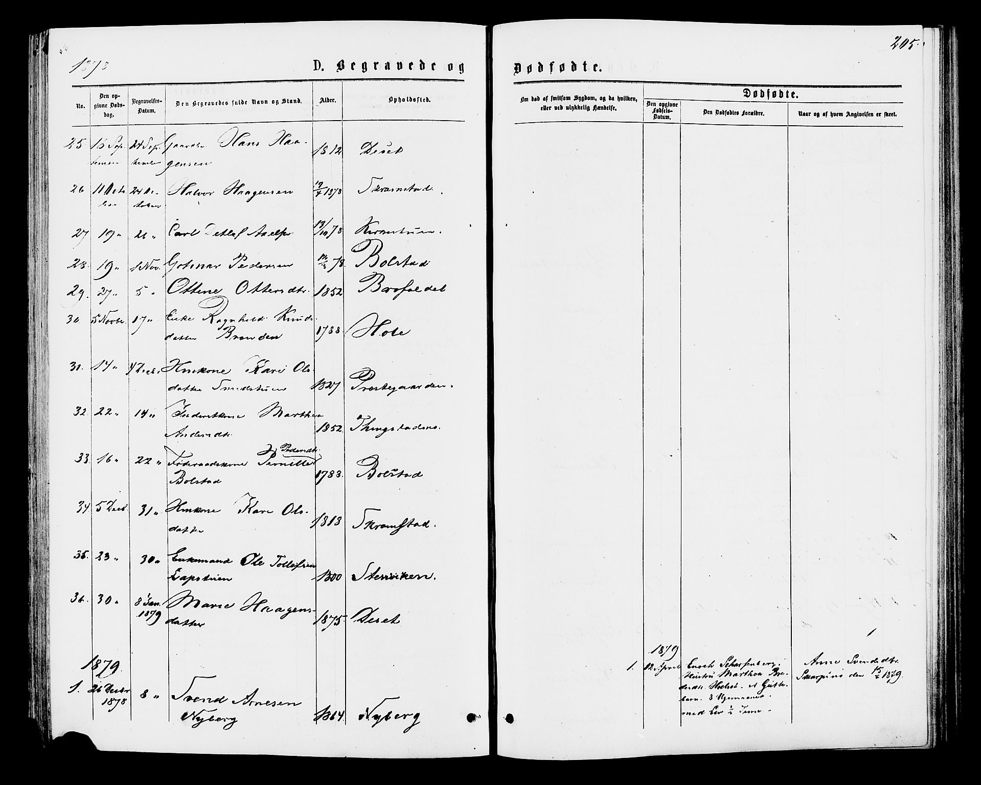 Åmot prestekontor, Hedmark, SAH/PREST-056/H/Ha/Haa/L0009: Parish register (official) no. 9, 1875-1883, p. 205